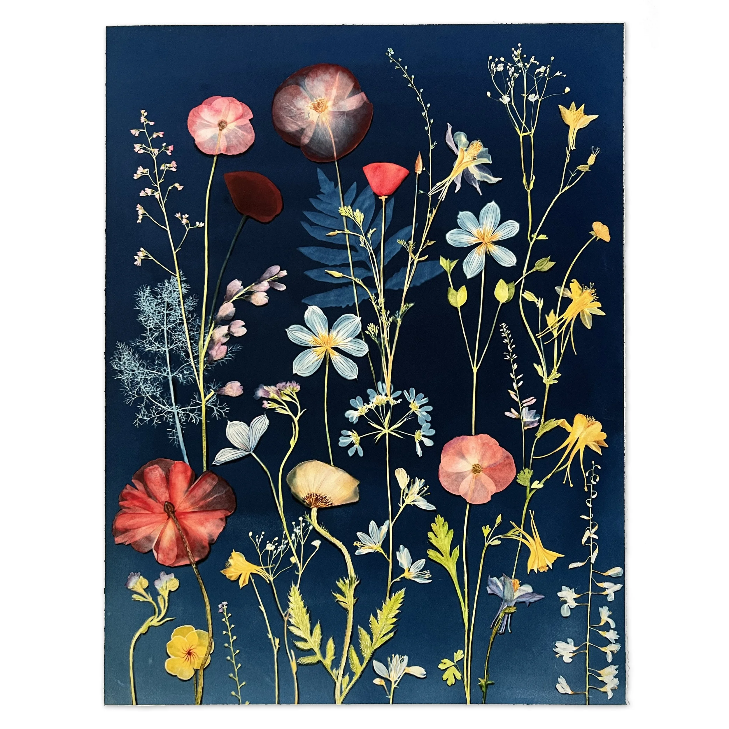 Poppies, Clematis, Columbine, Ferns, etc_Deckled Edge-AP print - 25.5 x 19.5 inchesTN.jpg