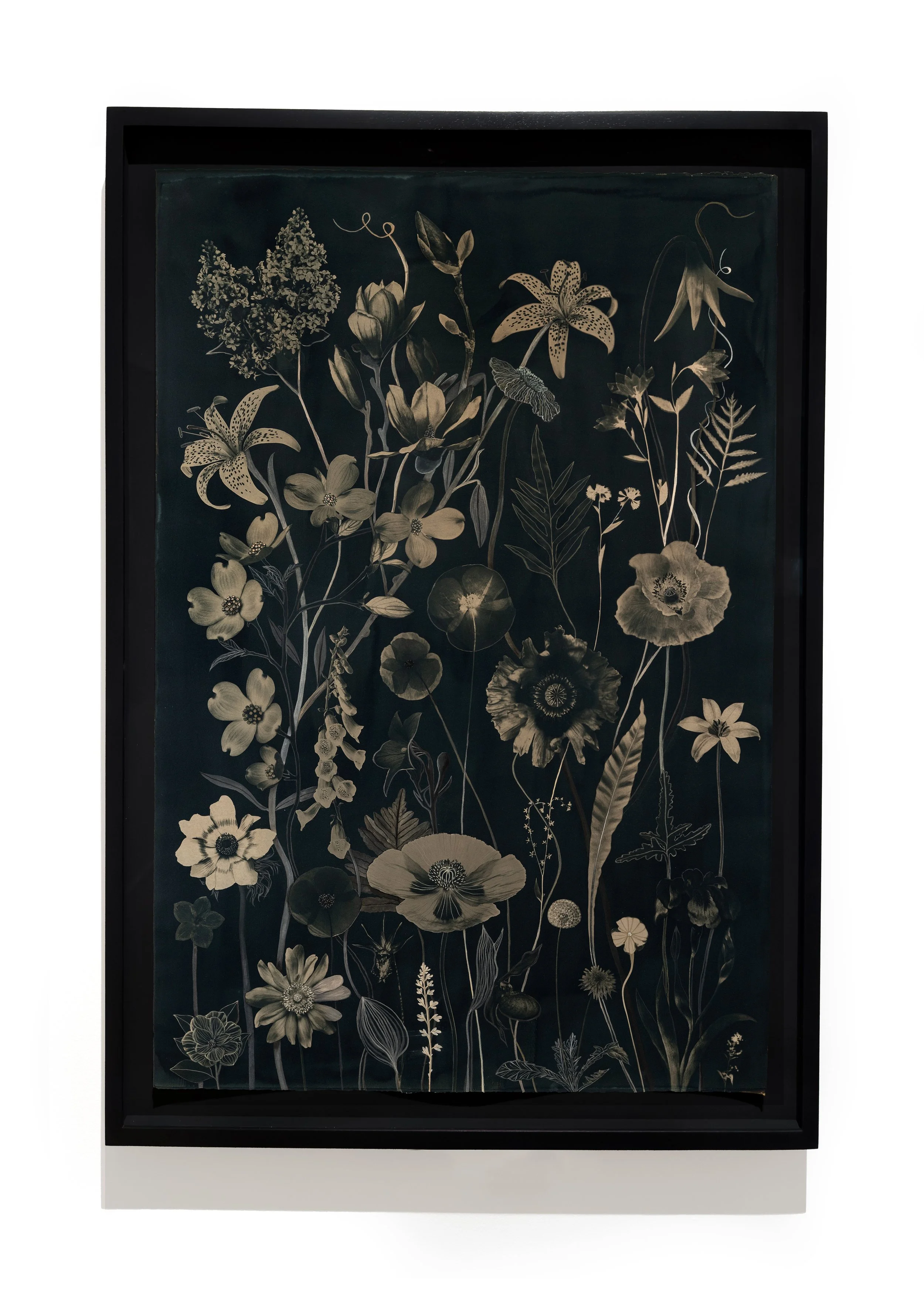 JWB_FloatingHerbarium_Sepia_44x30_PoppiesDogwoodLilyMagnoliaLilac_framed.jpg