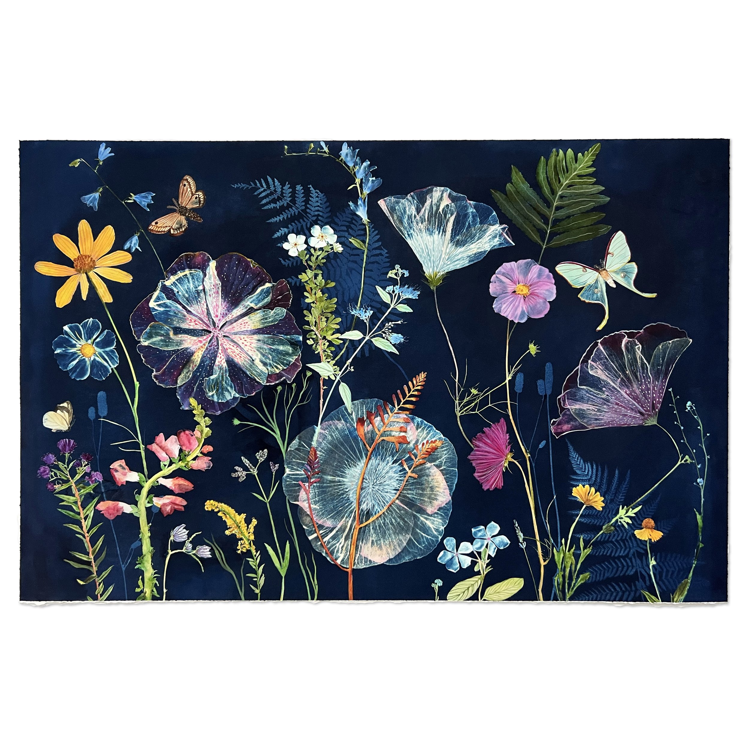 Hibiscus, Ferns, Montbretia, Moths, etc_Deckled-edge-AP print 18x28 inchesTN.jpg