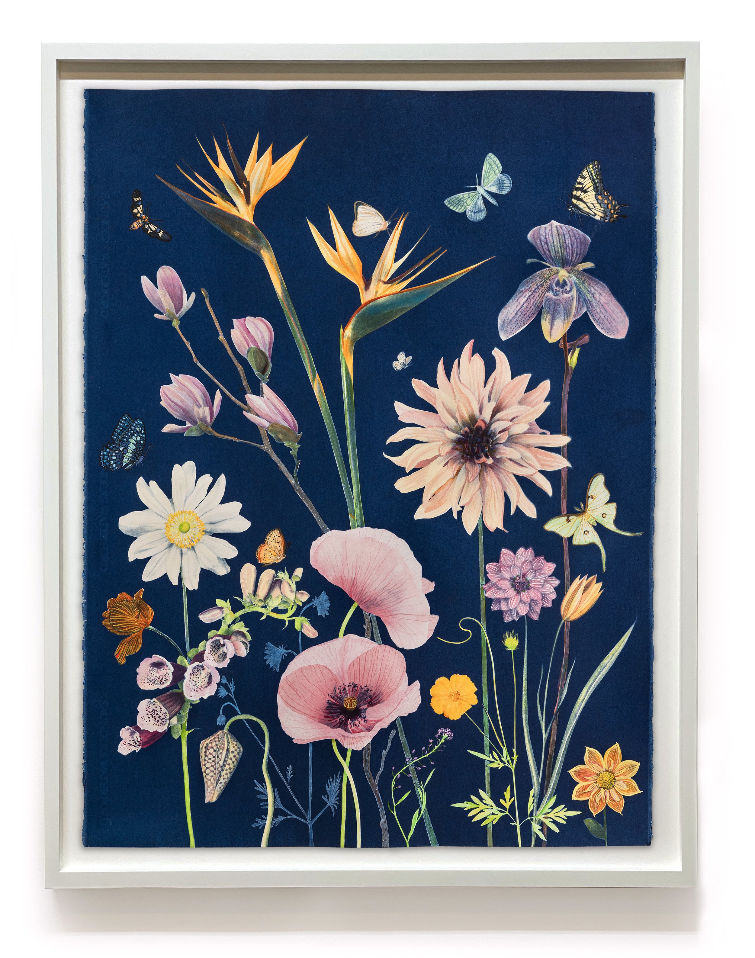 JWB_FloatingHerbarium_Ferns_Poppies_Orchids_Magnolia-etc_44x30inches-framed-rendering copy.jpg