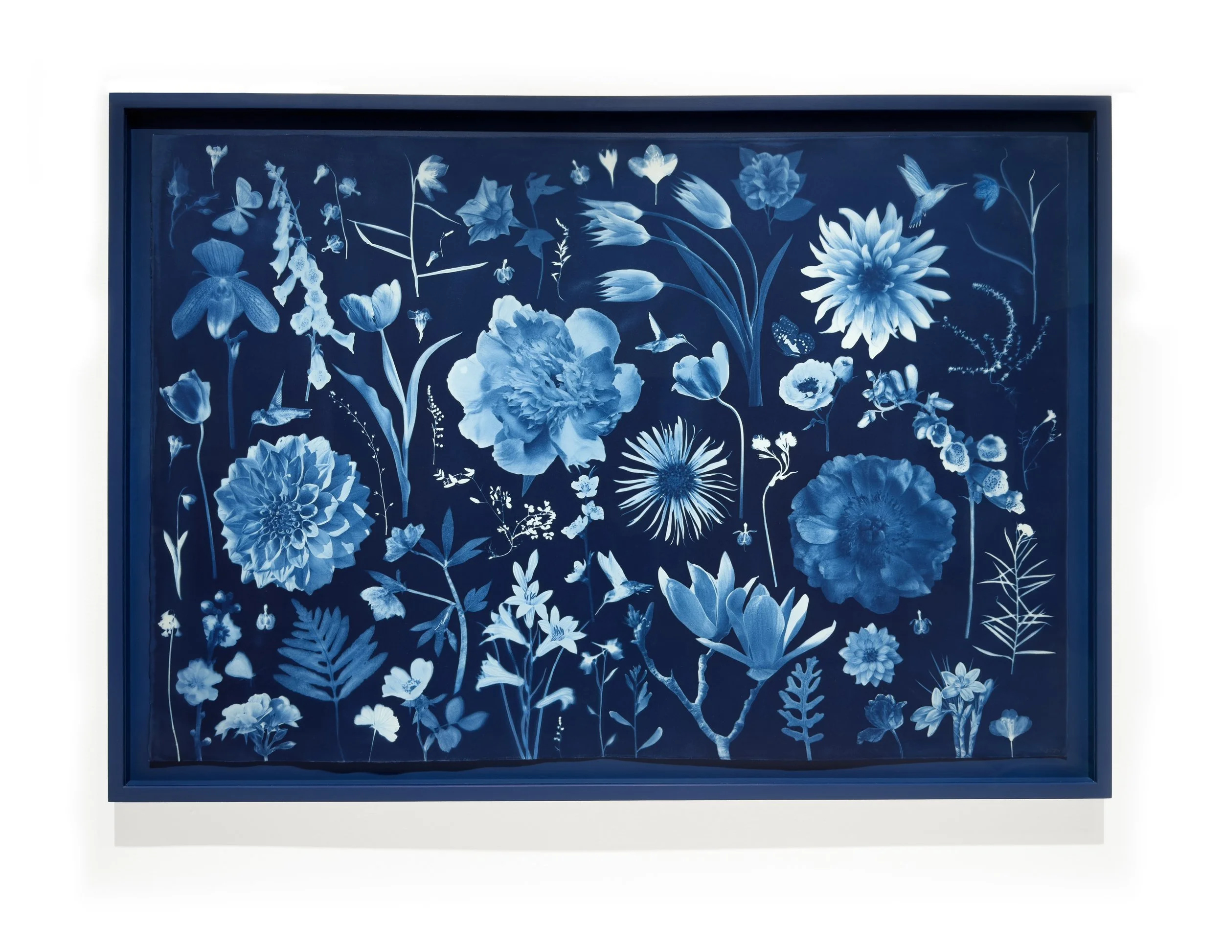 JWB_FloatingHerbarium_Dahlias_Tulips_Orchids_Hummingbirds_etc_44x30inches-framed.jpg