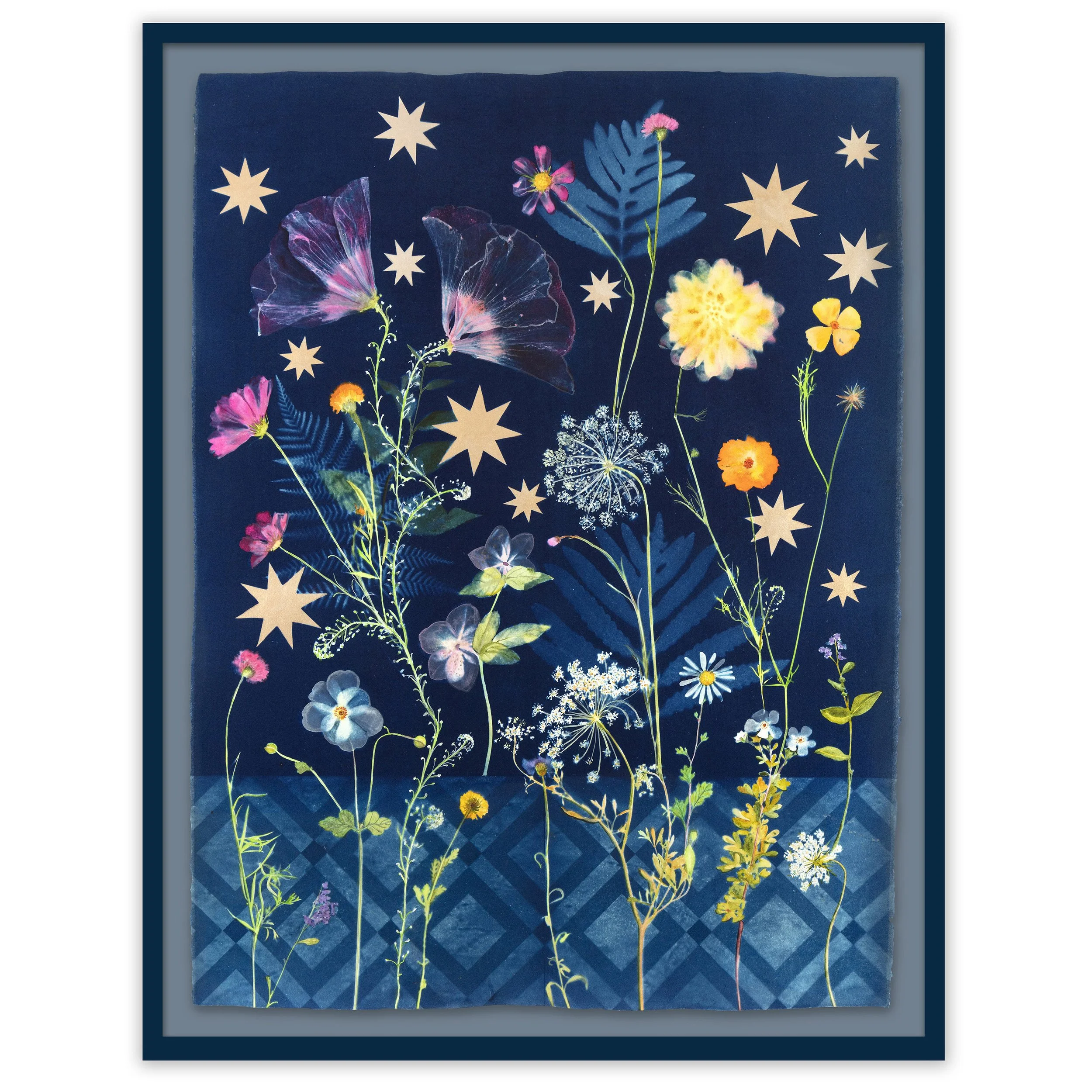 JWB_NocturnalNature_1 square.jpg