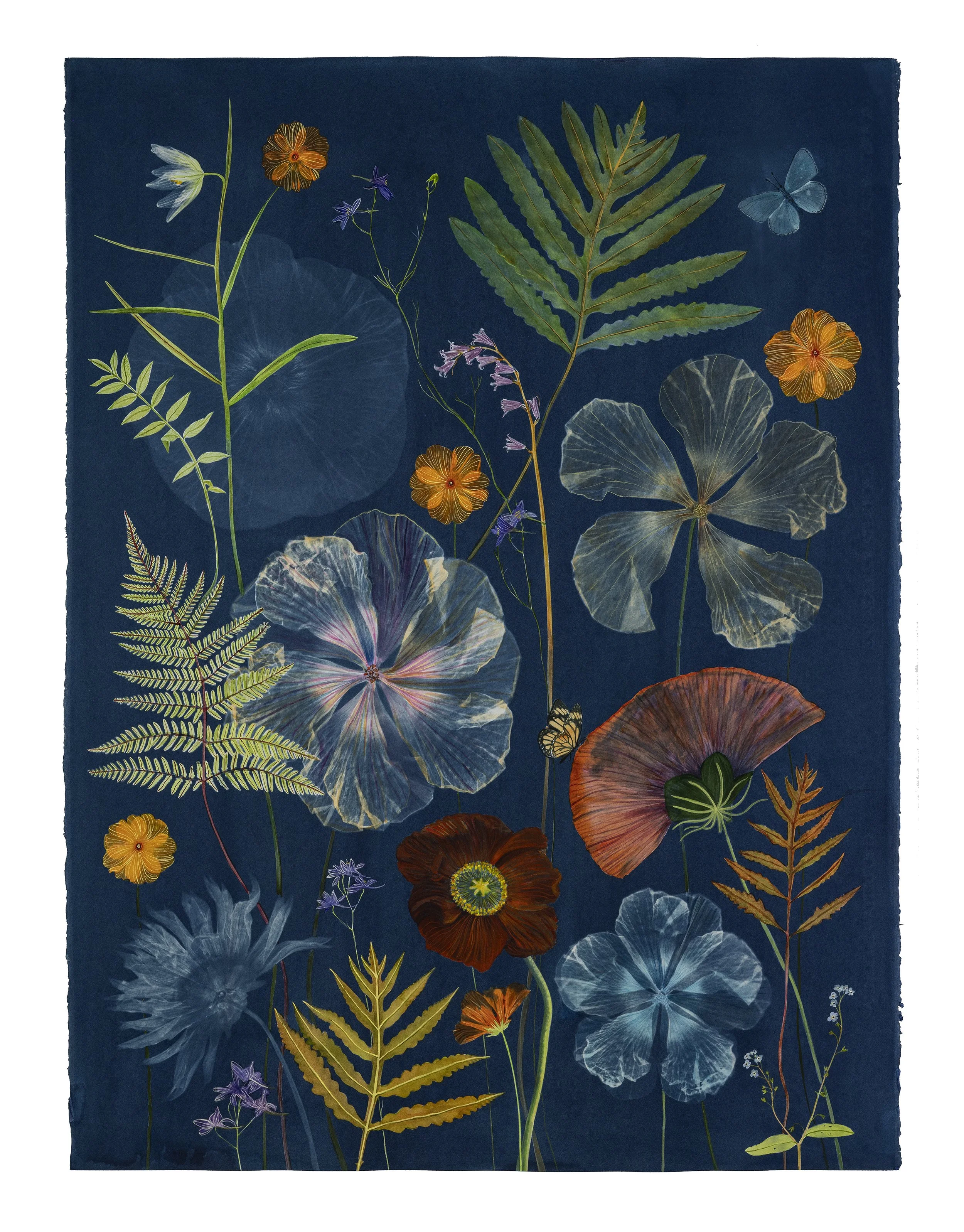 Picturesque Botany (Poppy, Fern, Hibiscus, Cosmos), 2026, 30” x 23” watercolor, ink, gouache and cyanotype on watercolor paper   private collection  