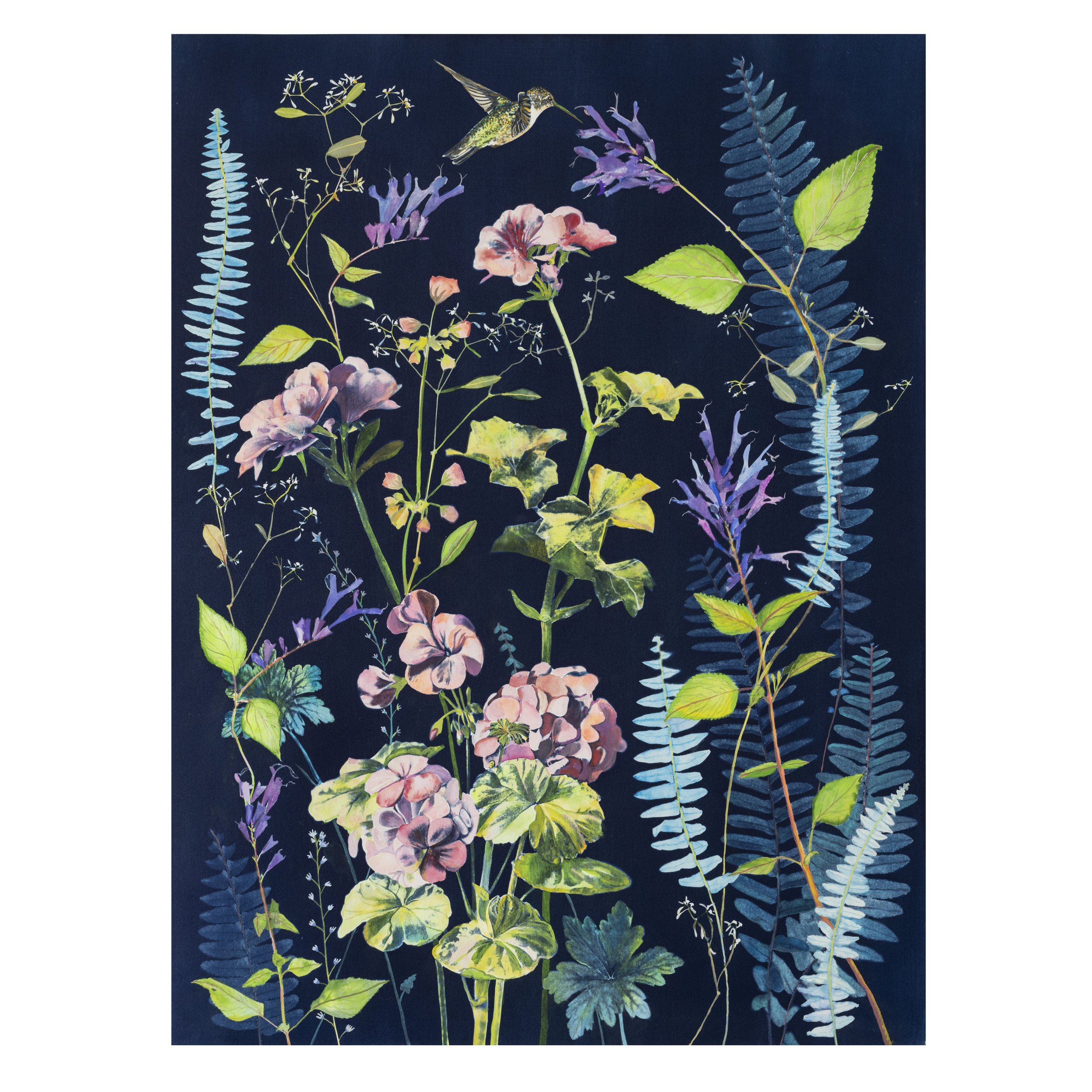 JWB_CyanotypePainting_GeraniumsHummingbird-square.jpg