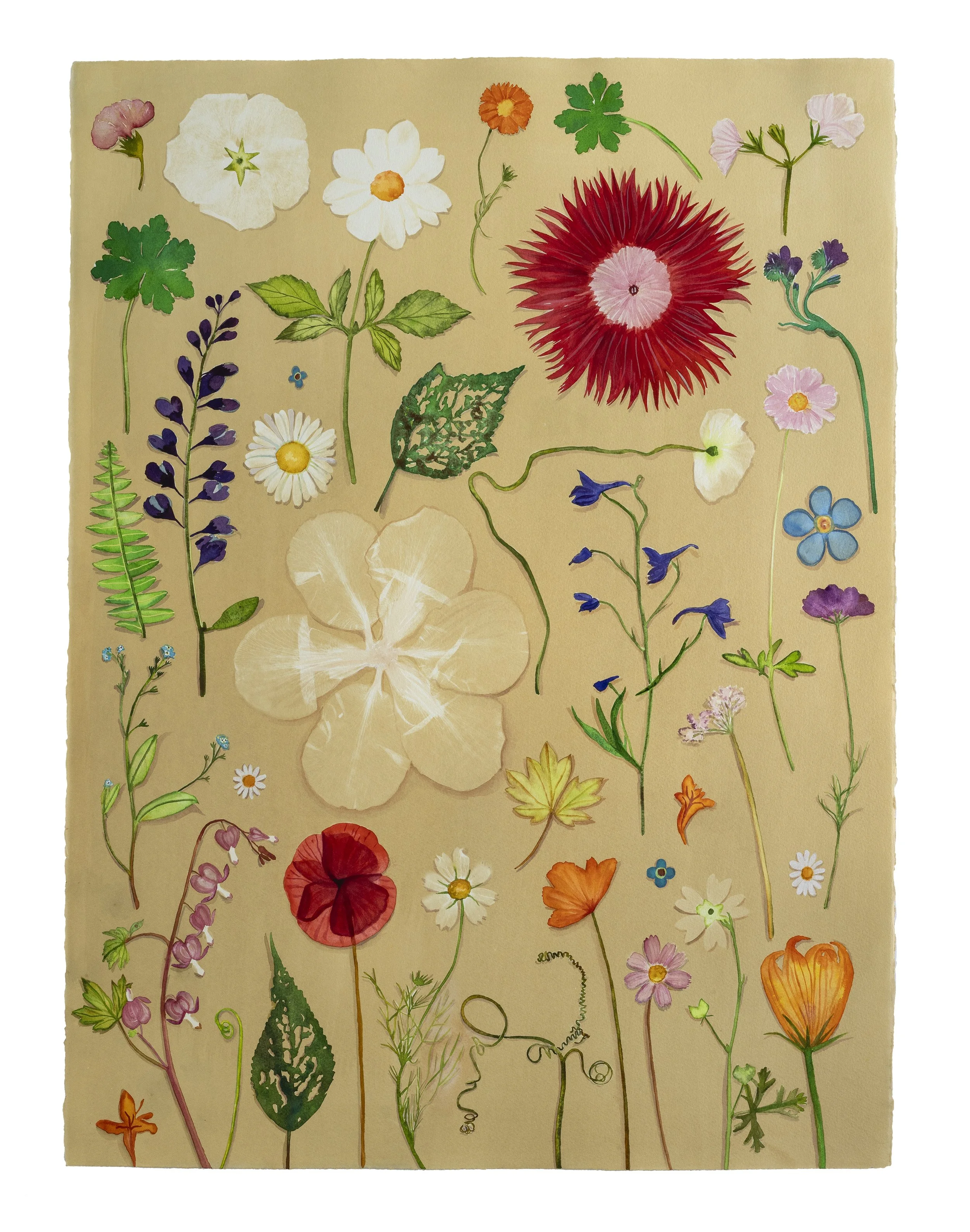 JWB_Luminous Nature:Herbarium I.jpg