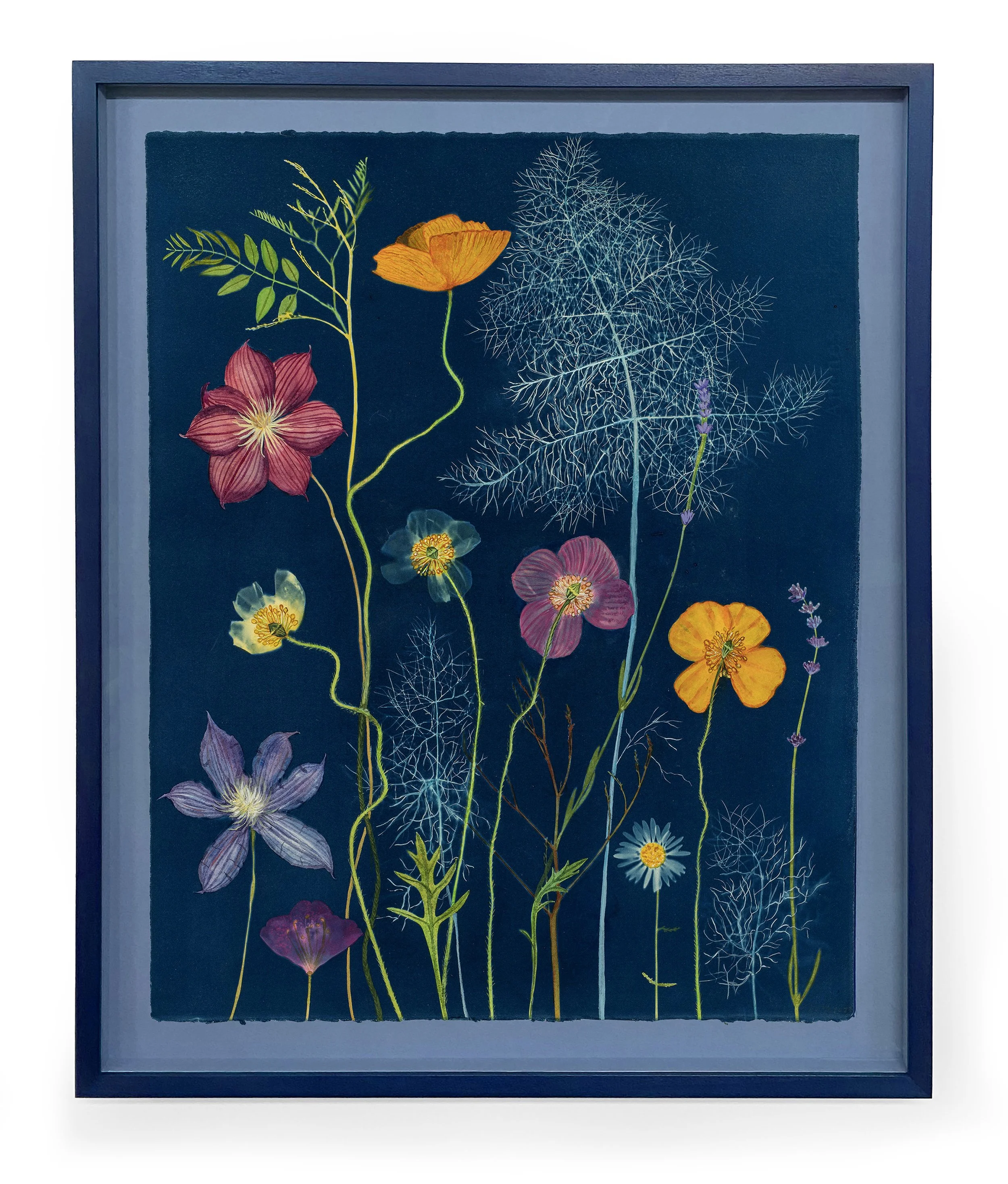 05B_JWB_Nocturnal Nature_Poppies, Clematis, Fennel-framed.jpg