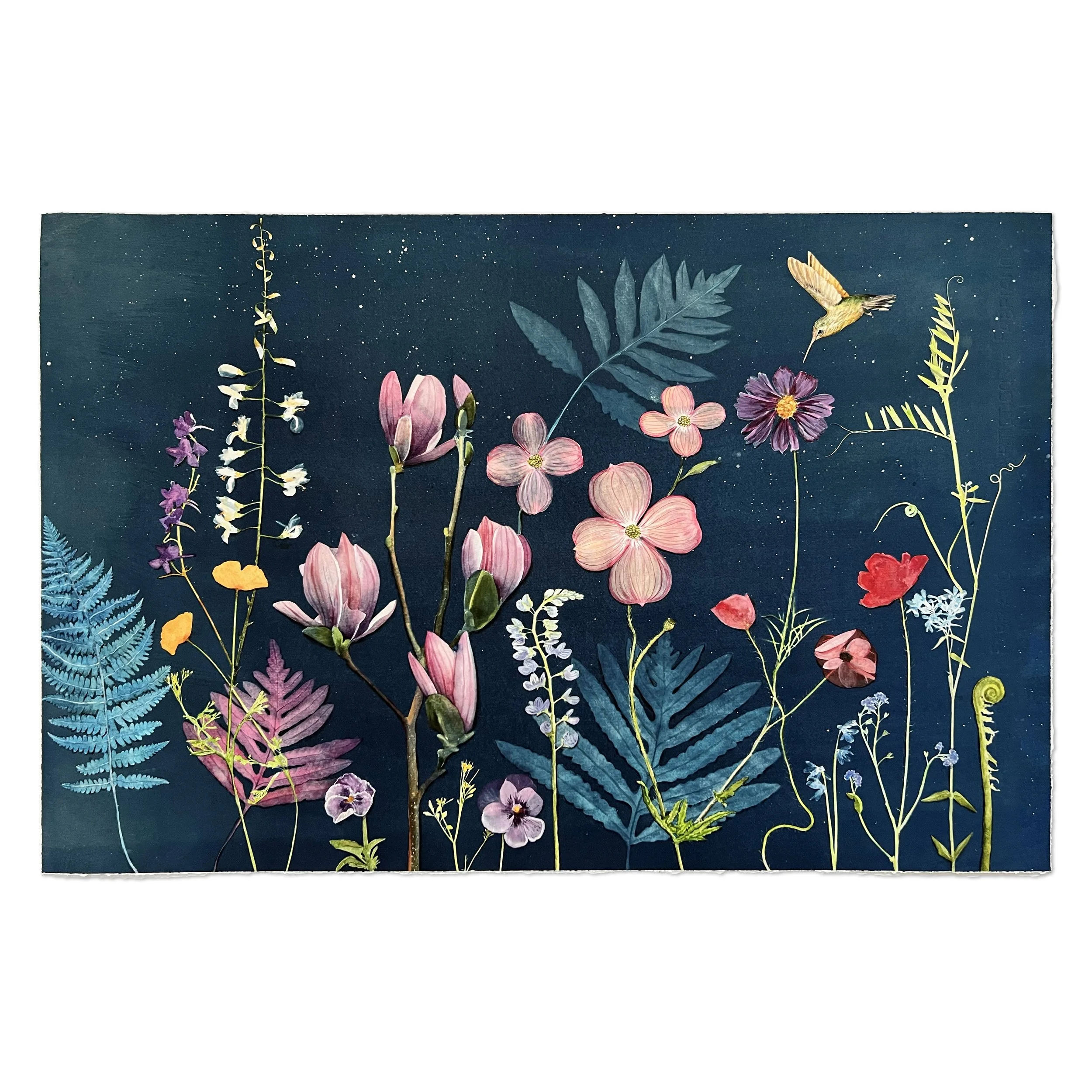 Magnolia, Dogwood, Ferns, Hummingbird, etc_Deckled-edge-AP print 18x28 inches-square.jpg