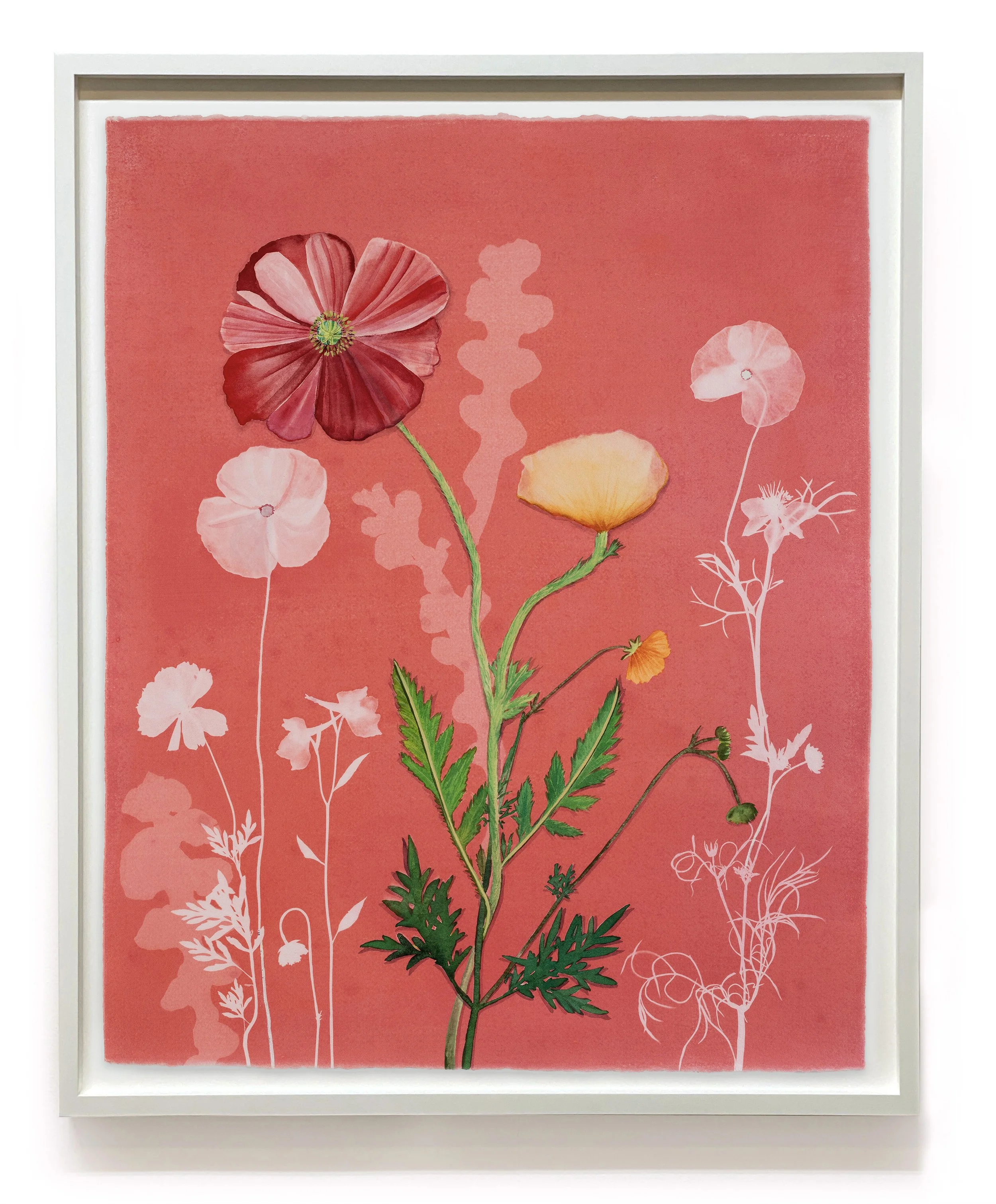 JWB_PinkFlora(PoppyNigellaCosmos)-framed.jpg