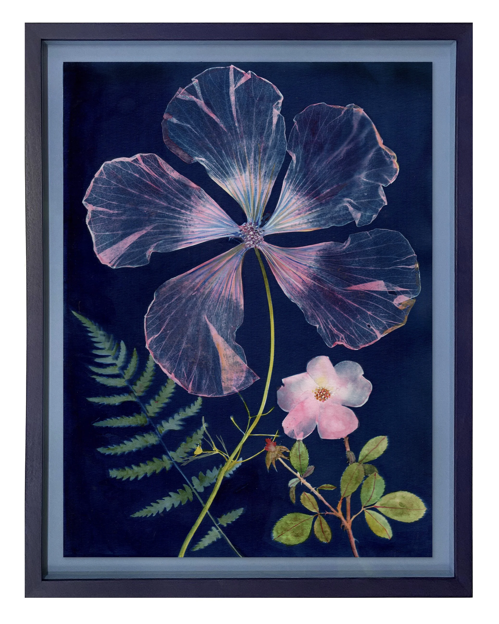 06B_JWB_Nocturnal Nature)_HibiscusRoseFern_11x14-framed.jpg