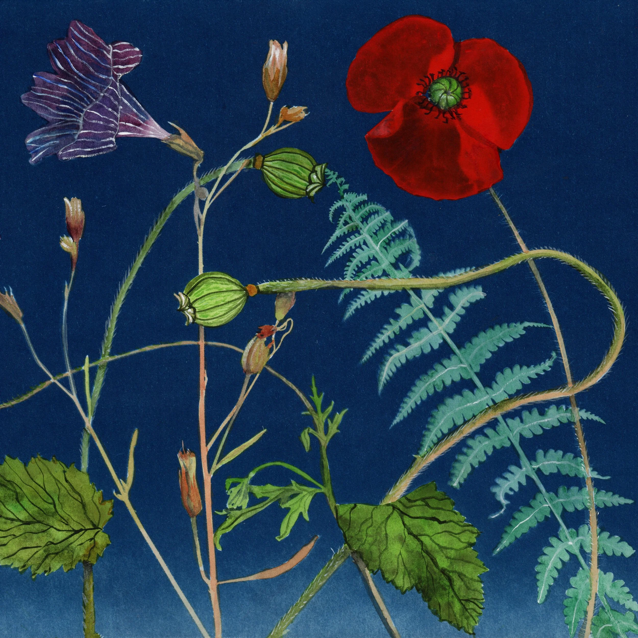 JWB_CyanotypePainting_Poppies_Petunia-detail.jpg