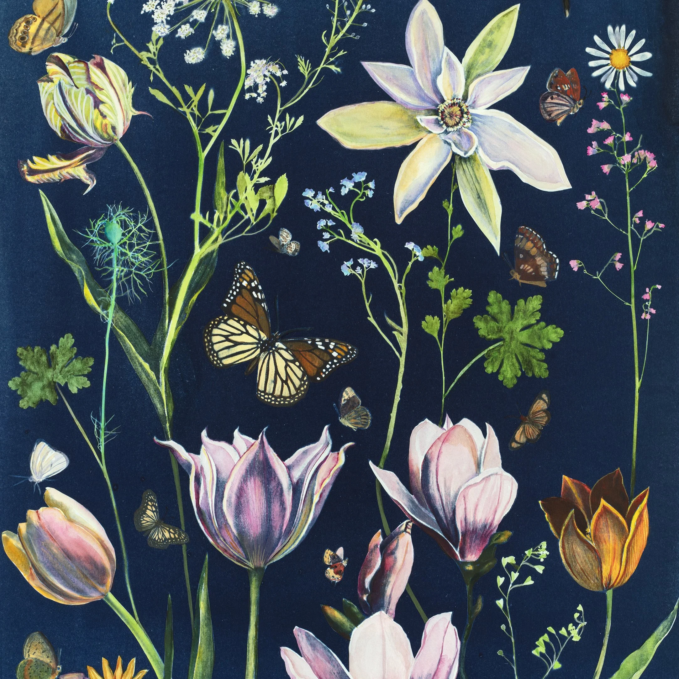 JWB_CyanotypePainting_24x18-2021_tulips_Magnolia_butterflies-square-detail.jpg