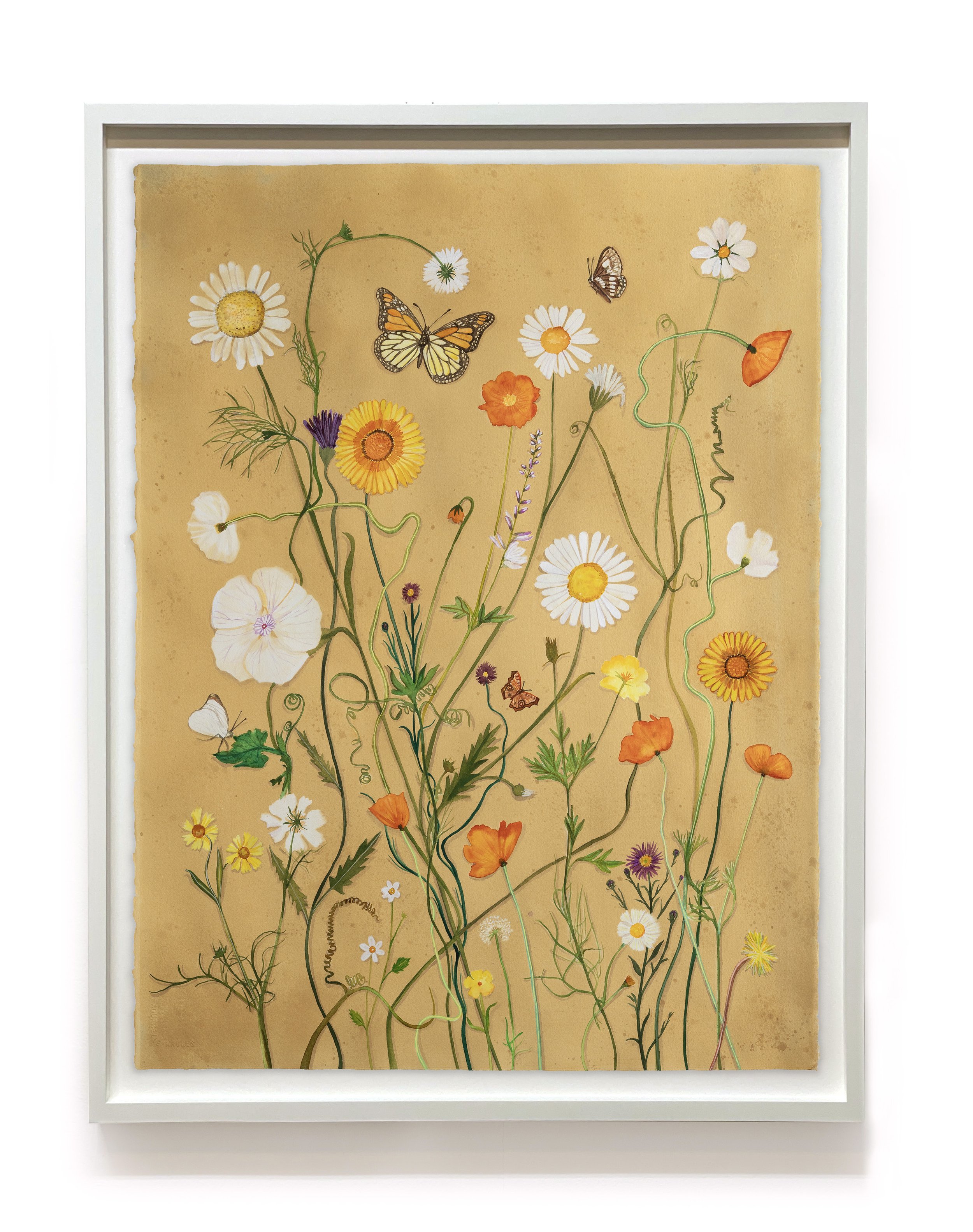 JWB_Luminous Nature (Daisy, Poppy, Cosmos, Monarch, etc)-framed.jpg
