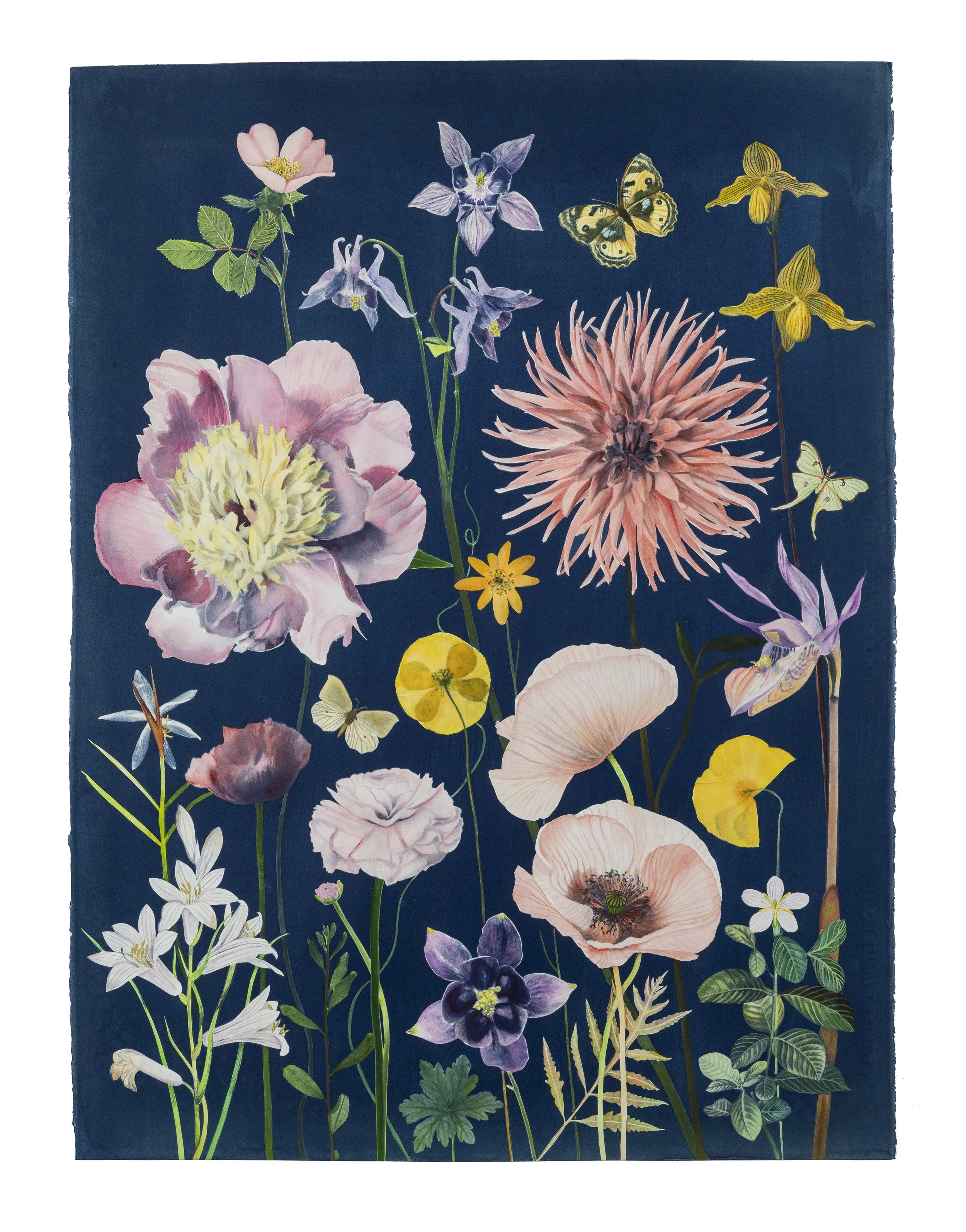 Picturesque Botany (Peony, Dahlia, Poppy, Columbine, etc), 2025, 30” x 23” watercolor, gouache and cyanotype on Arches hot press watercolor paper   private collection  
