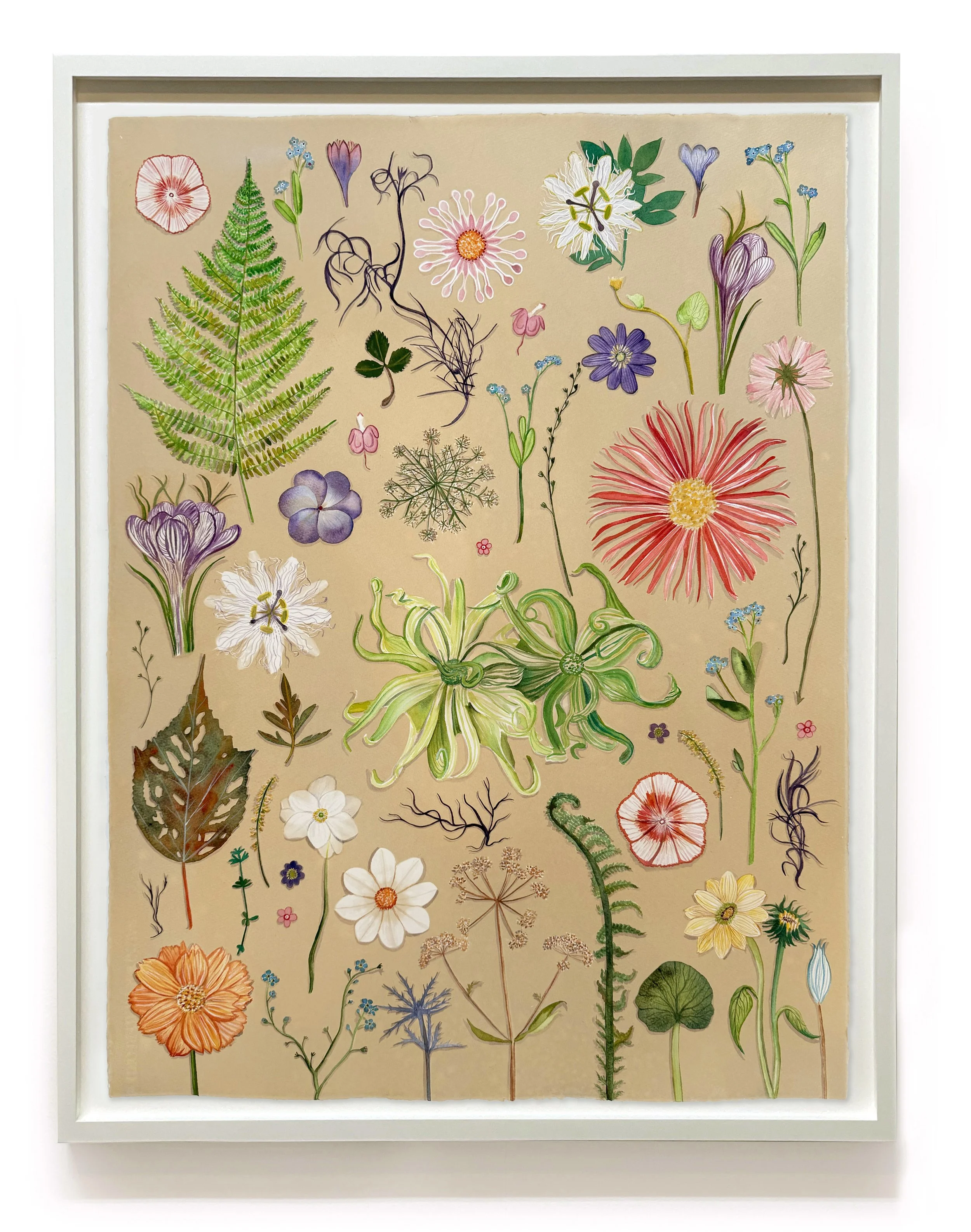 JWB_Luminous Nature:Herbarium III-framed.jpg