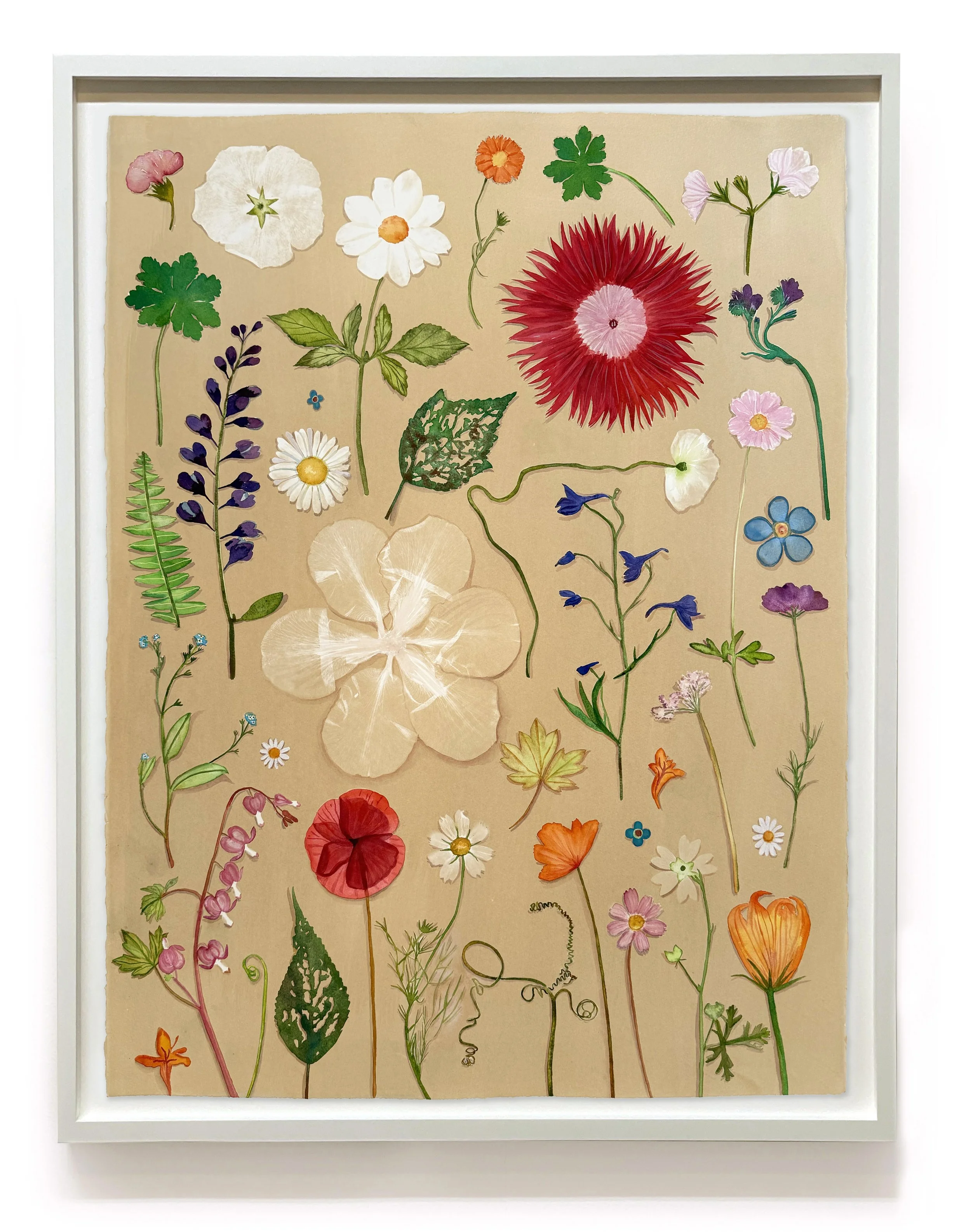 JWB_Luminous Nature:Herbarium I-framed.jpg