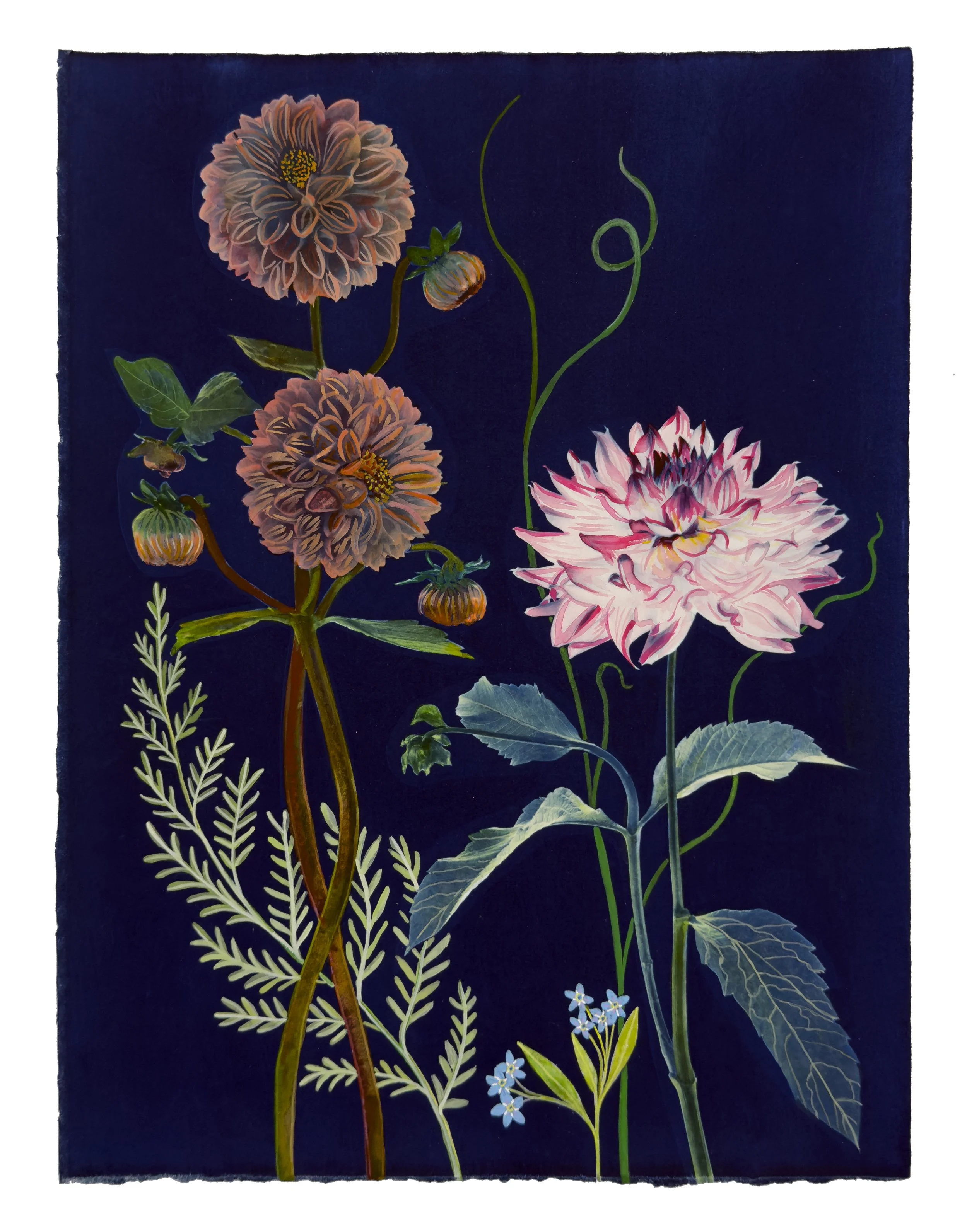 JWB_Nocturnal Nature_DahliasFernFogetMeNot_15x11.jpg