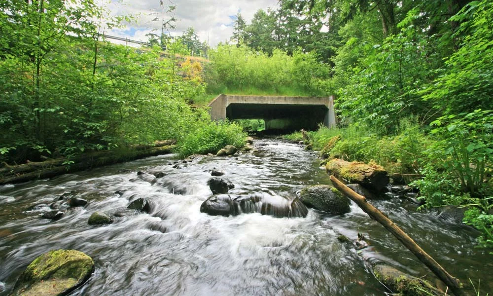 LEACH CREEK CULVERT REPLACEMENT , University Place, Washington Owner/Client : City of University Place Services : Civil and Structural Engineering, Environmental Permitting