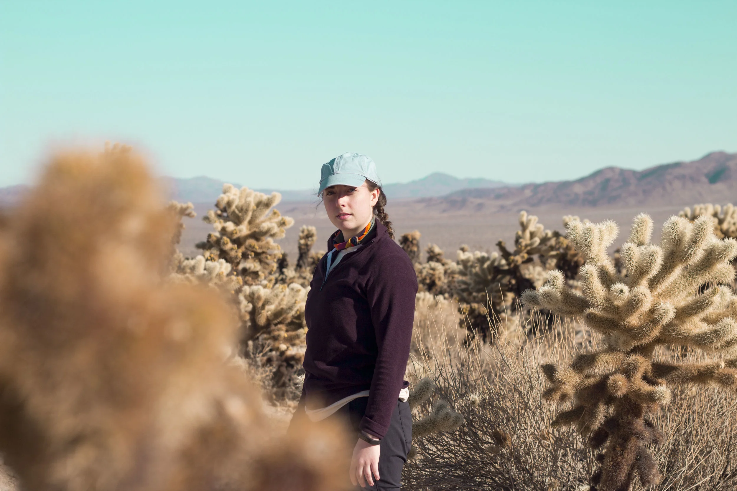 03-2018-JoshuaTree_26.JPG
