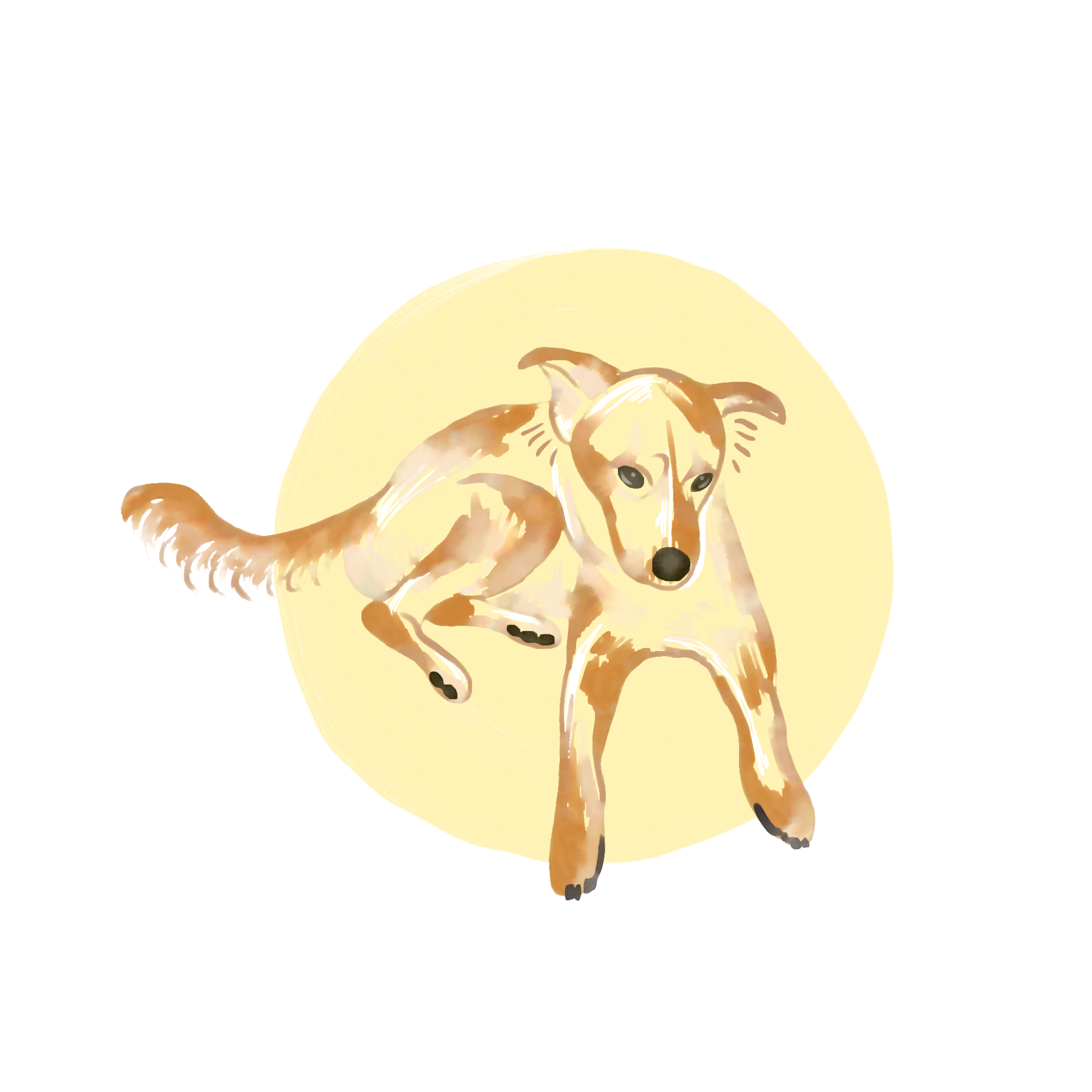 19-12-22-Nora.png