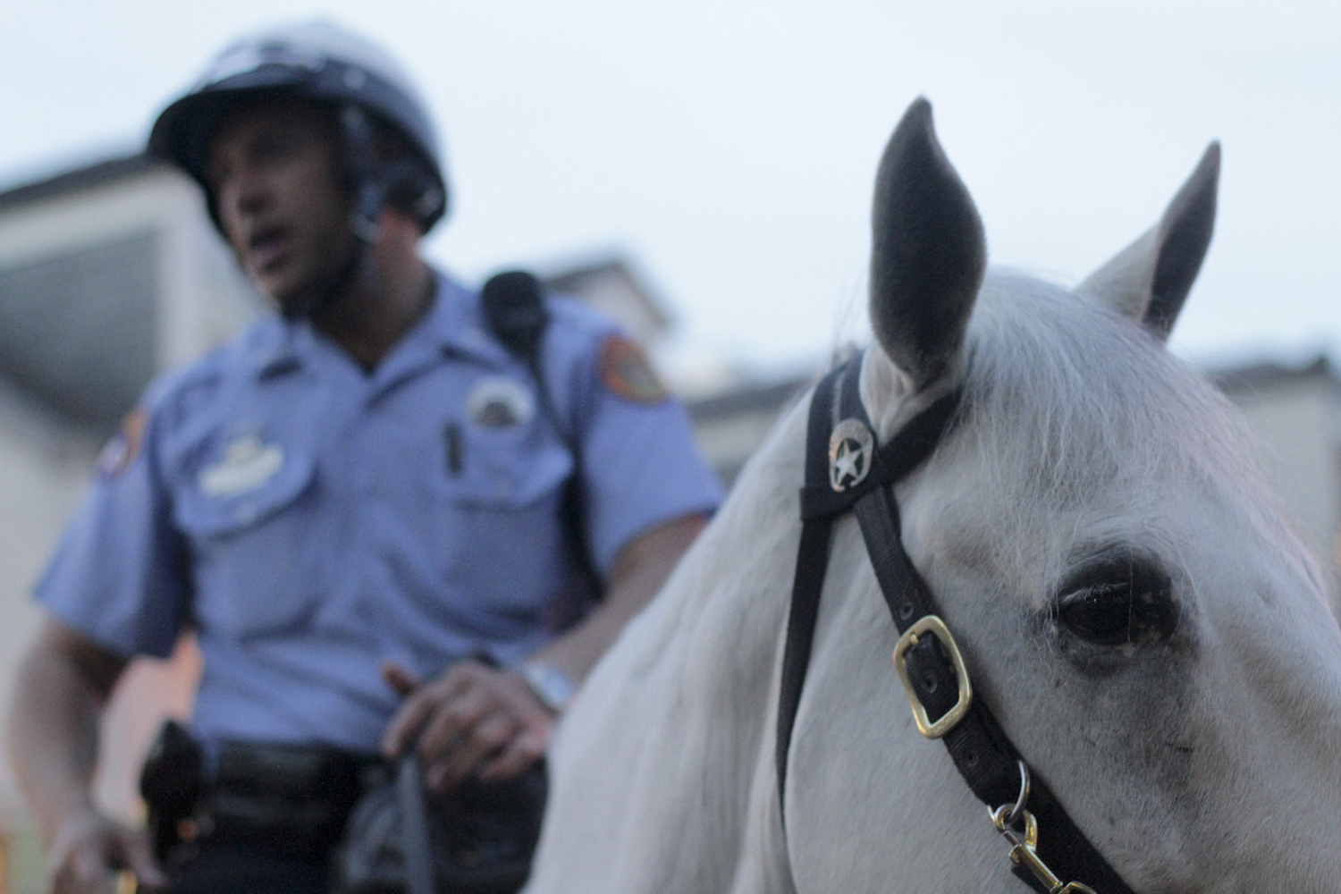  Officer Patrick Schneider patrols Bourbon Street in New Orleans, Louisiana on his horse, Cody, on May 27, 2014.&nbsp; 