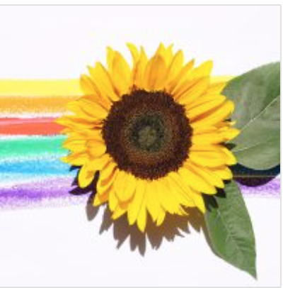 Screen Shot 2019-08-20 at 3.38.59 PM.png