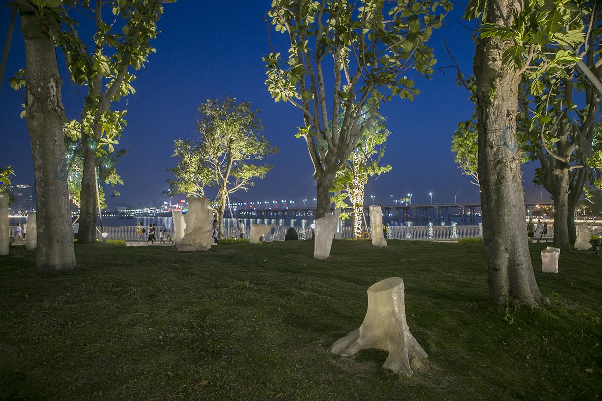 Stumps at night.jpg