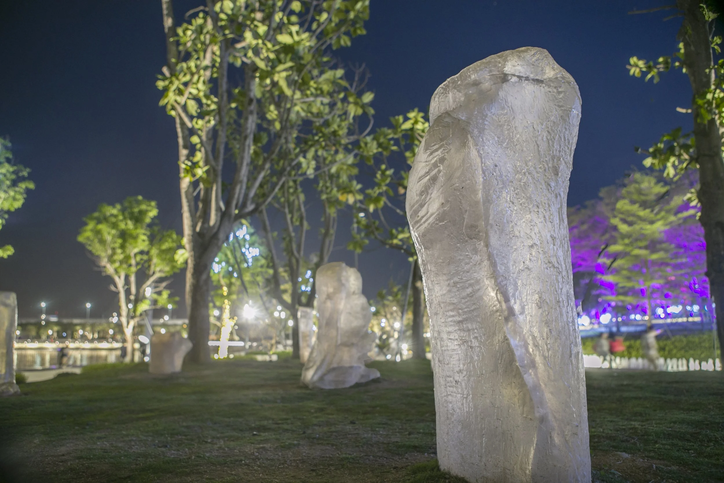 Stump at night_edited.jpg