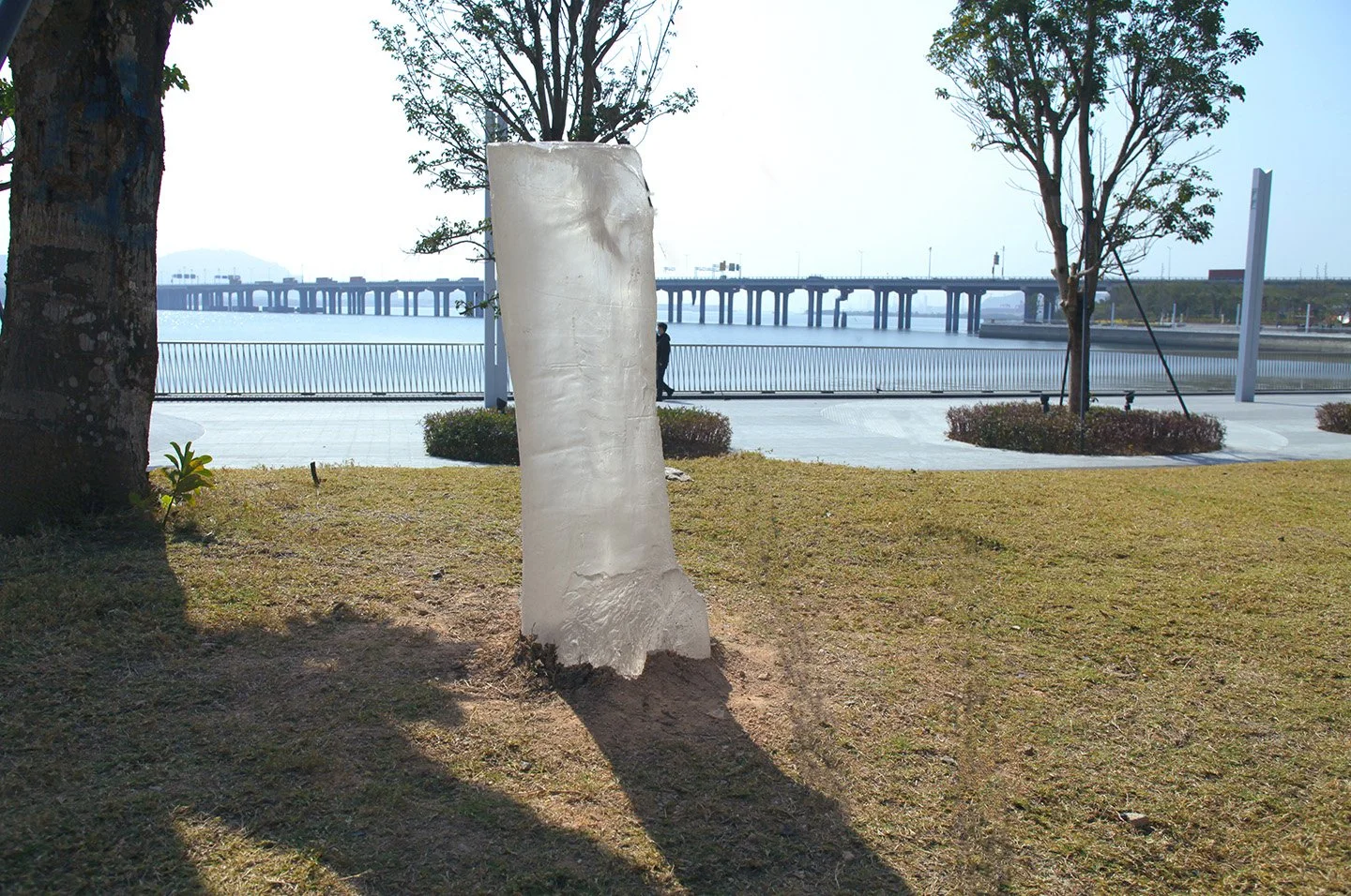 Stump 3_edited.jpg