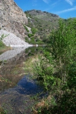 Seaton's Grove Un permitted impoundment of water .jpg