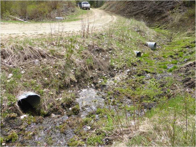 Lime Creek Stream Crossing Stabilization 1.jpg