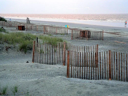 dune fence