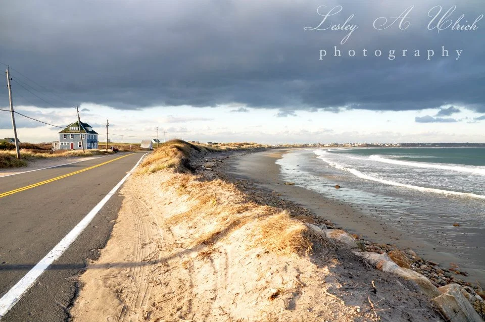 Corn Neck Rd. & Solviken Beach Dunes / Photo by Lesley A. Ulrich