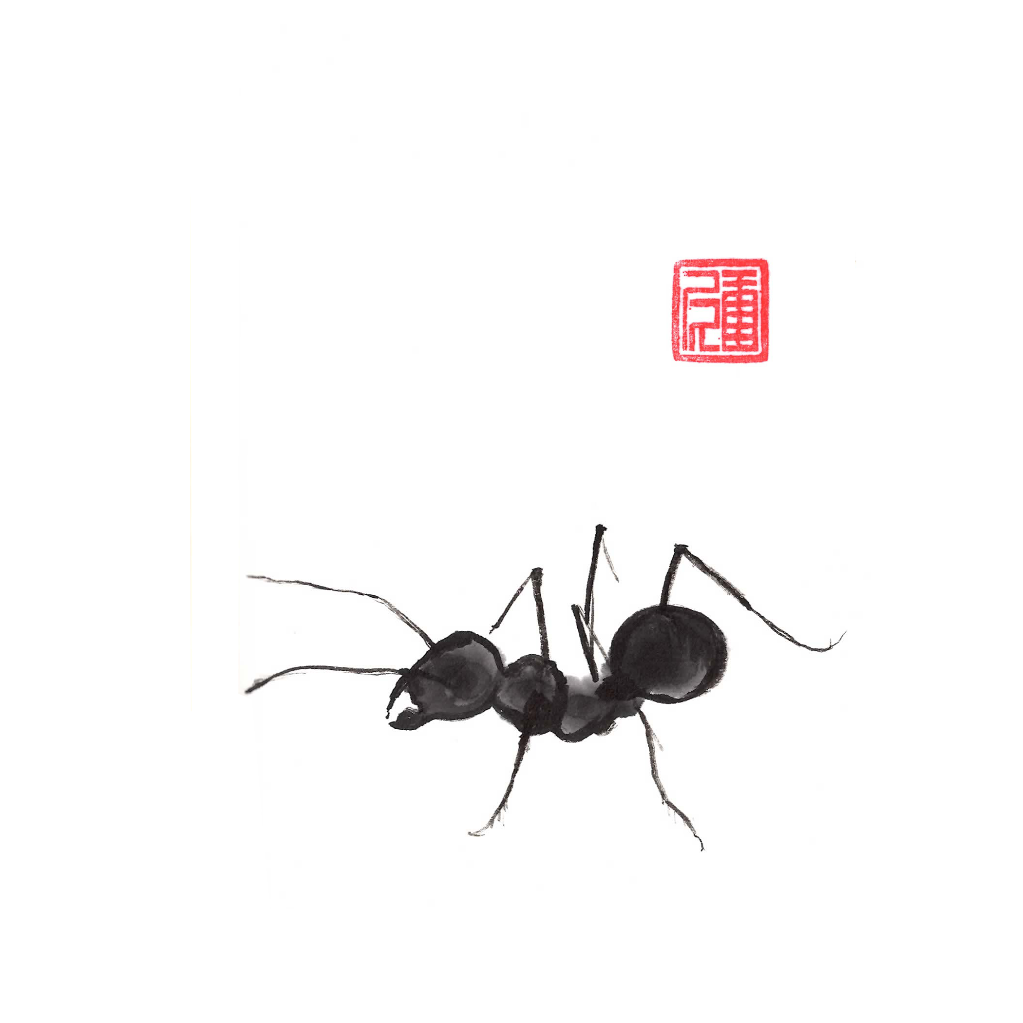 Proverbs6.6.png
