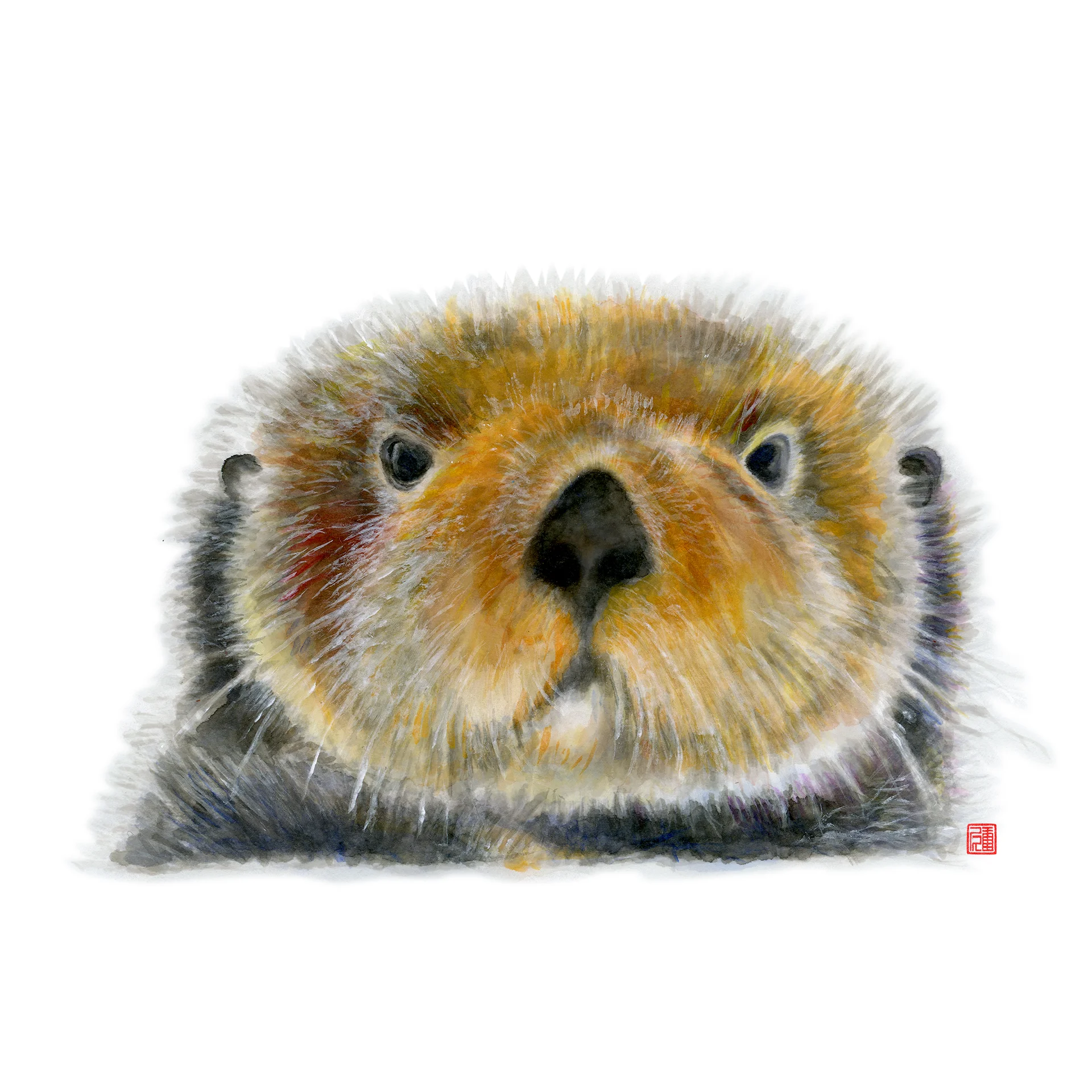 sea otter