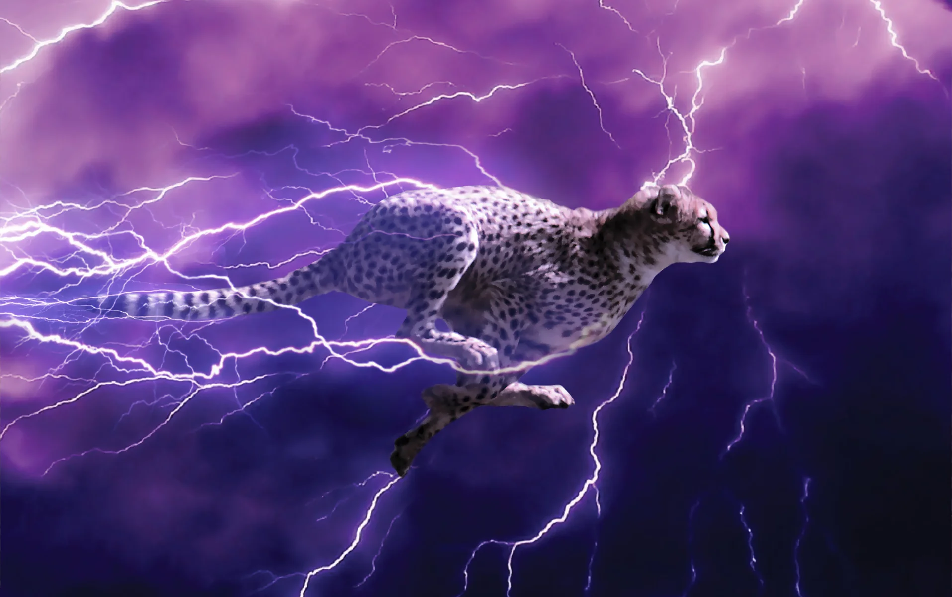 PowerofFast.jpg