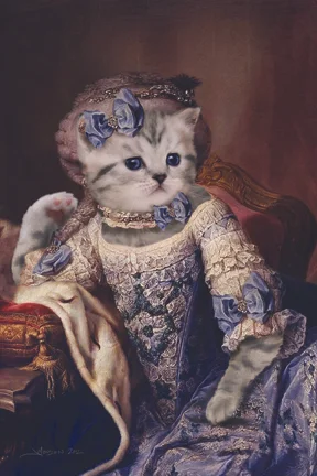 Cat_Portrait_72.jpg