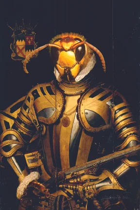 Hornet_Portrait_72.jpg