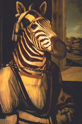 Zebra_Portrait_72.jpg