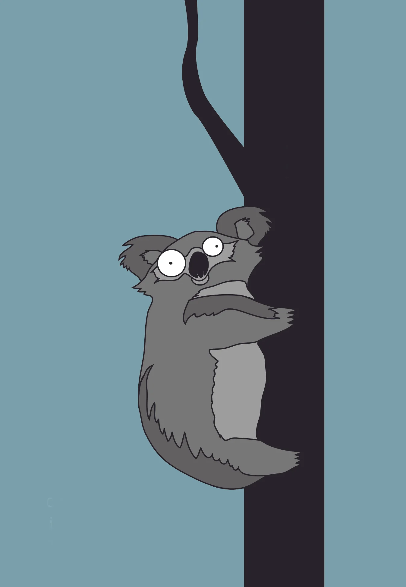 koala.jpg