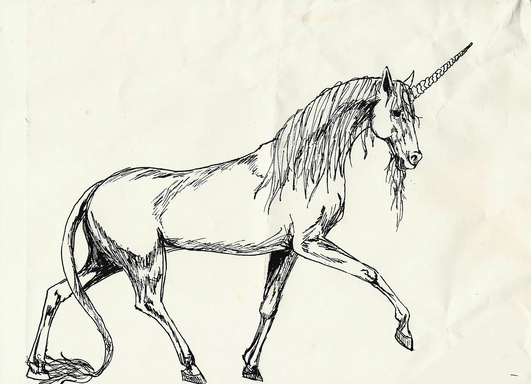 unicorn_sketch.JPG