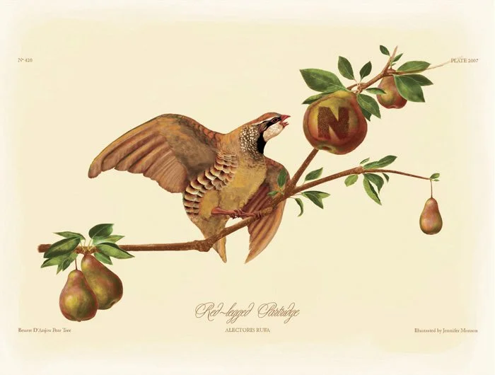 pear_card_front_sat.jpg