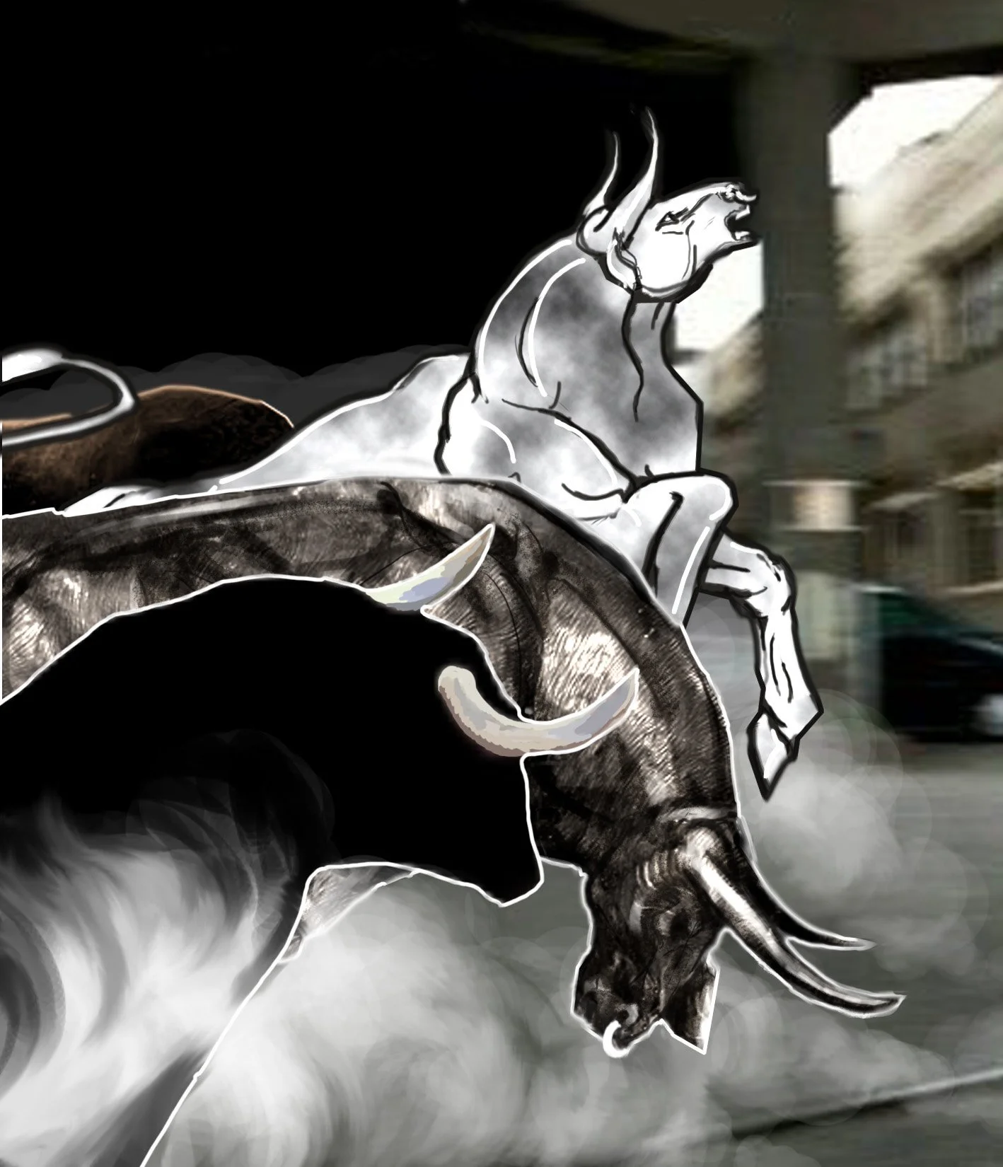 bull3.jpg