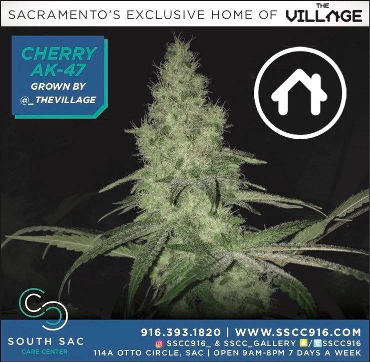 Cherry AK47 By The Village An SSCC Staple — South Sacramento Care