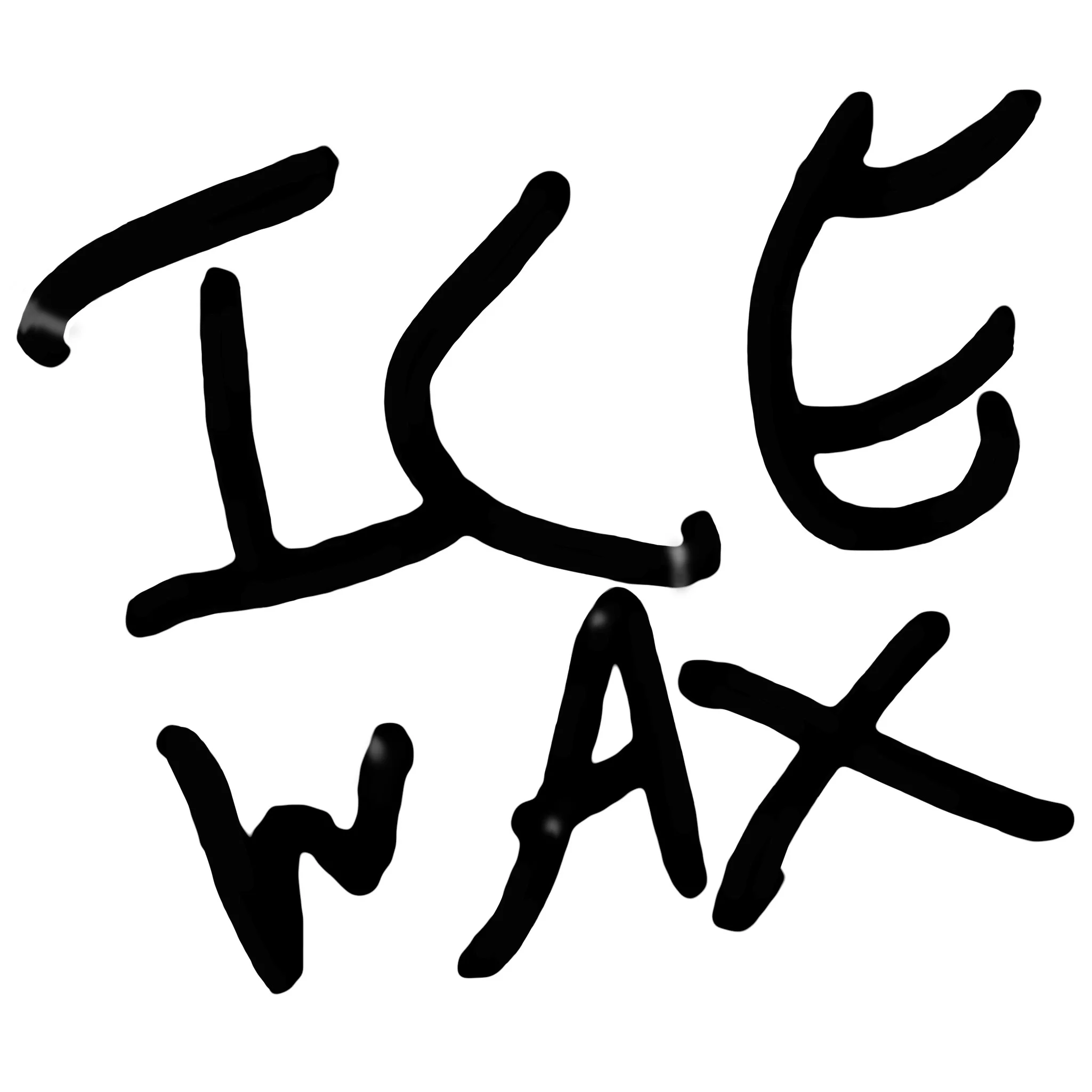 MattRize_logoSEND.jpg