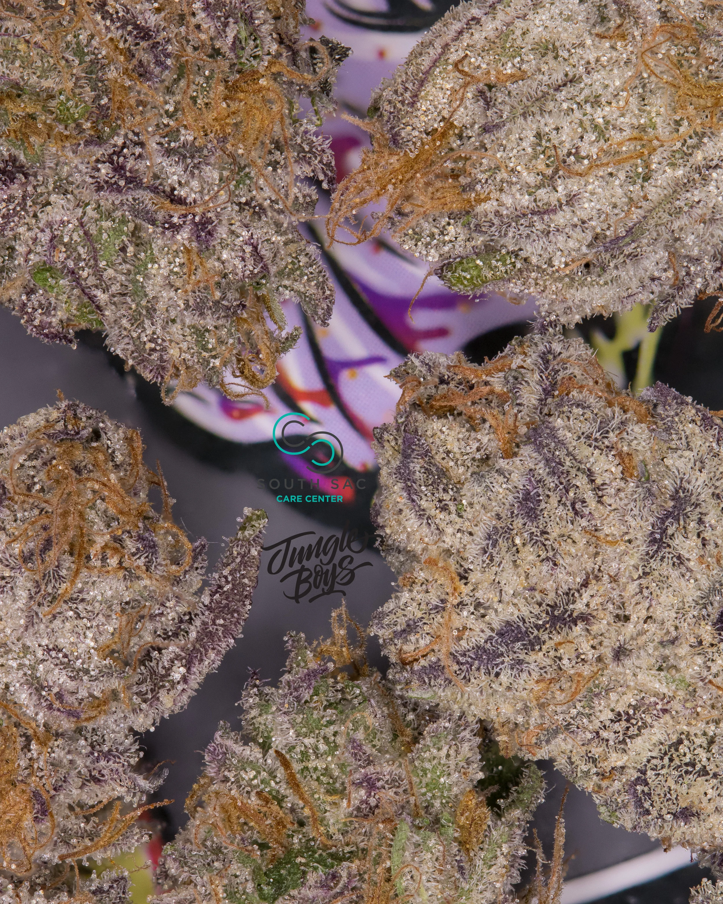 Huge Drop From The Jungle Boys — South Sacramento Care Center