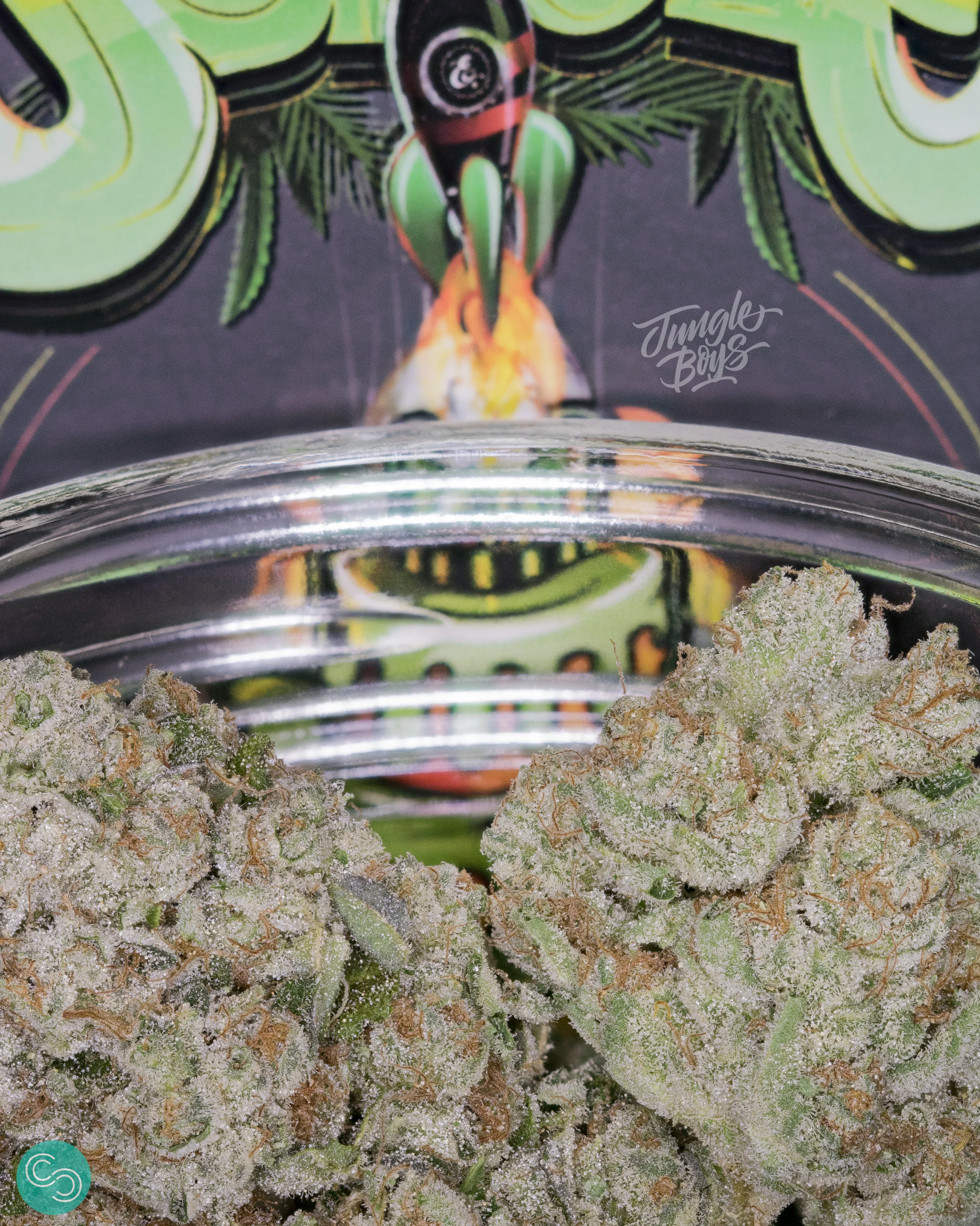 Pictured is 'Jungle Cake'. It has a strong influence from 'The White'.