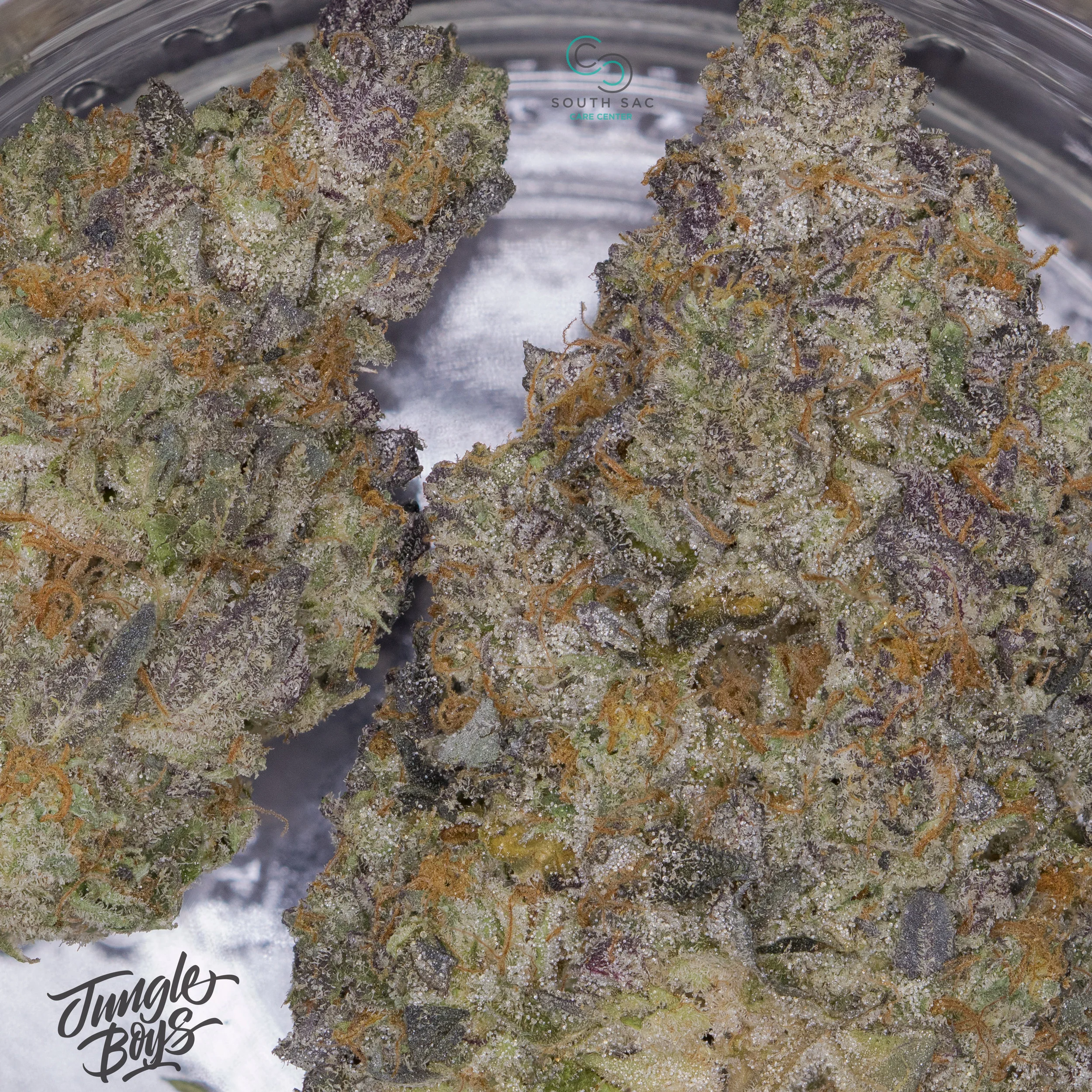 Here's a shot of Gelato! Very strong aroma & powerful effect. 