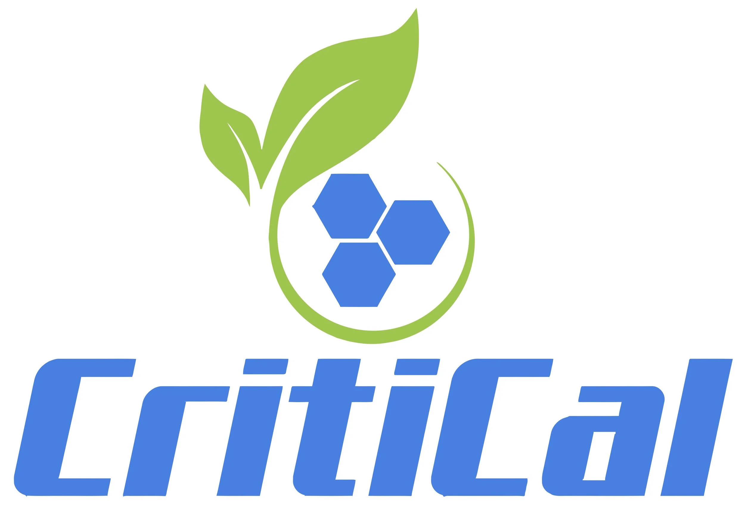 CRITICAL LOGO white1.jpg