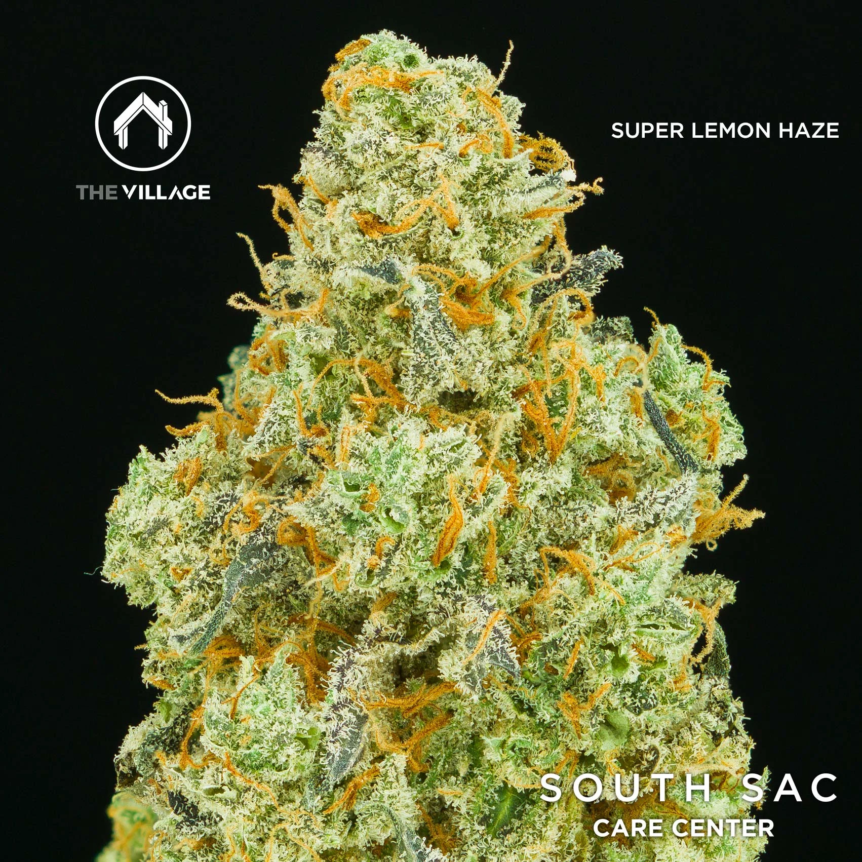slh-sg2.jpg