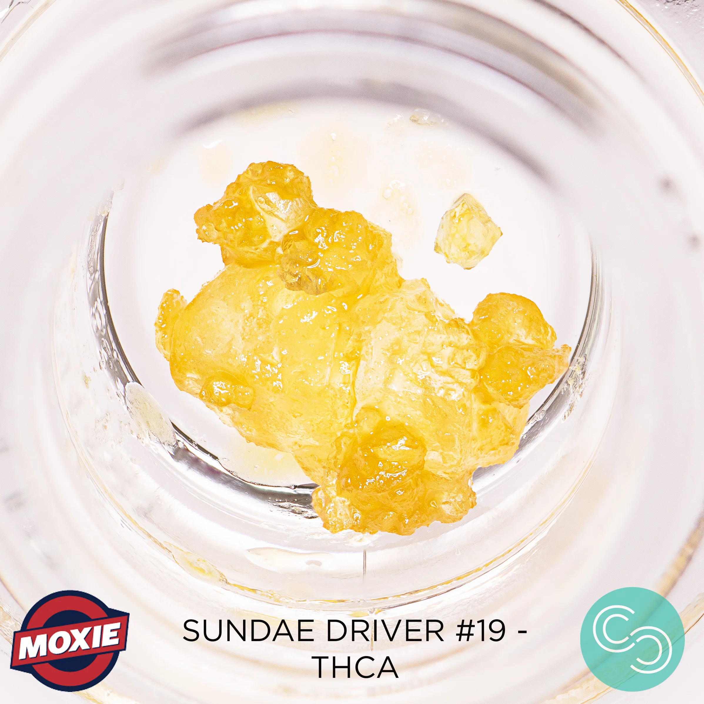moxiesundaedriverliveresin.jpg